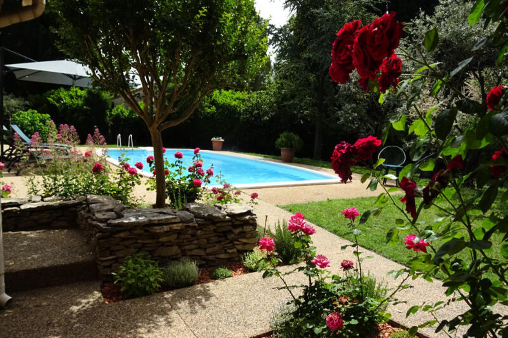 La Mésange Bleue - Private Pool