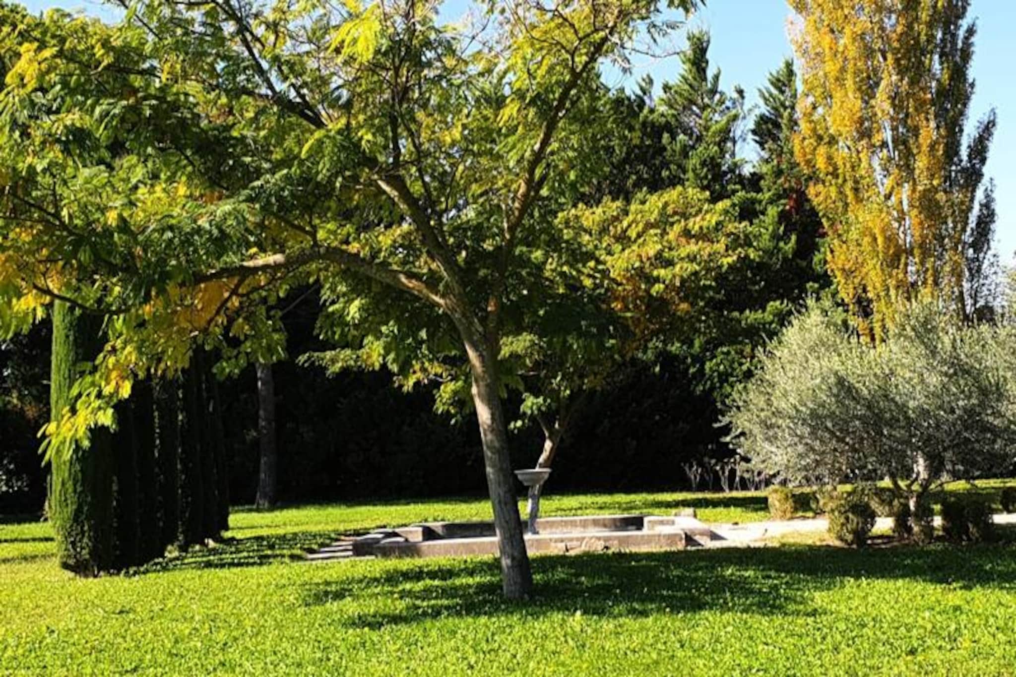 House in Isle sur la sorgue for 8 people