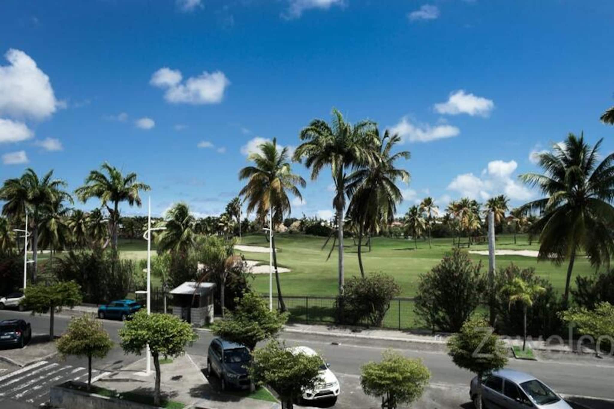 This beautifully renovated duplex offers the perfect blend of modern comfort and tropical charm. It accommodates up to 4 people with a mezzanine bedroom featuring a 160 cm bed and a 160 cm sofa bed in the living room. The property is air-conditioned throughout and includes towels and bed linens. It is not pet-friendly and parties are not allowed.

Situated in Saint-François, on Guadeloupe’s eastern side, the apartment is ideally located near the Marina, where guests can enjoy various dining options and shops. The Saint-François International Golf Course, Casino, and Aerodrome are all within a short walk. The property is just 5 minutes by car from the island’s most beautiful beaches, including Raisins Clairs and Anse à la Gourde, and offers easy access to water sports, including surf lessons and Wing Foil rides. The Pointe-des-Châteaux site is just 10 minutes away by car, and sea shuttles can take you to nearby islands.

The duplex features a fully equipped kitchenette, a beautiful bathroom, and a separate toilet. It also provides access to the residence’s swimming pool, perfect for relaxation. High-speed Wi-Fi is available, and professional housekeeping ensures comfort throughout your stay. Additional services like excursions, vehicle rentals, and airport transfers are available via the concierge to enhance your vacation experience.