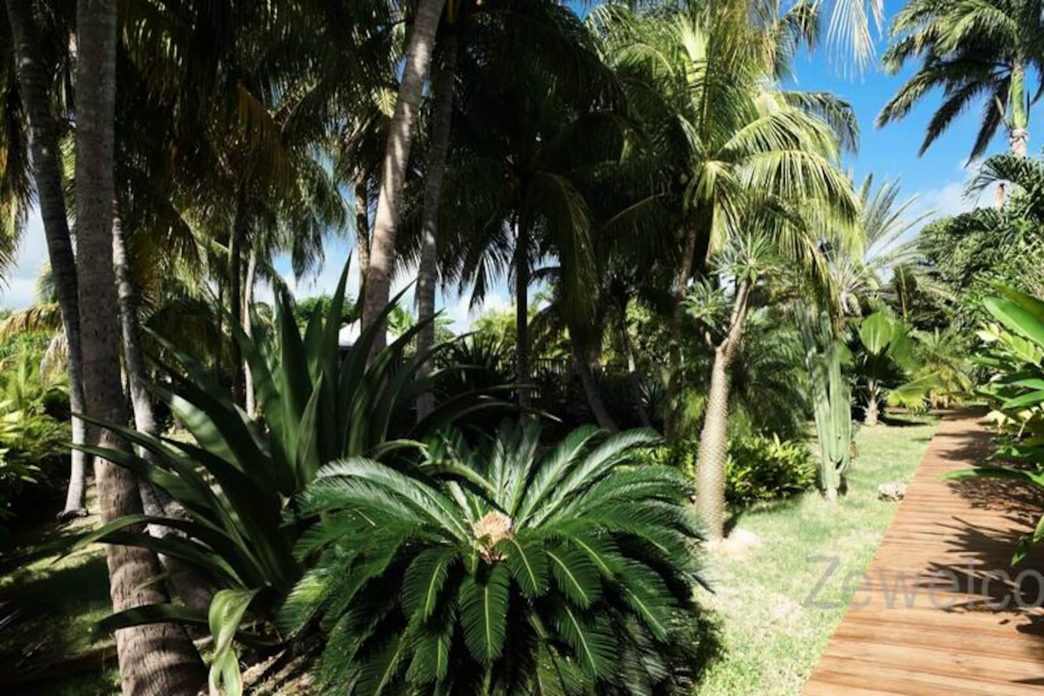 This charming Creole bungalow, nestled within a lush tropical park, offers a peaceful retreat with access to a shared swimming pool. It features a mezzanine bedroom with two double beds, plus a sofa bed in the living room, accommodating up to 6 guests. The property is pet-free and non-smoking, ensuring a tranquil atmosphere for all guests. A private terrace with a table and chairs allows you to dine al fresco, while a hammock and barbecue in the garden provide the perfect spot to relax and enjoy the trade winds.

Ideally located in a residential area of Saint-François, this bungalow offers easy access to local attractions. The city center, with its shops, marina, casino, and golf course, is just minutes away by car. The beautiful beaches of Raisins Clairs, Anse à la Gourde, and Anse-Champagne are also nearby, only 5 minutes by car. For those seeking adventure, the marina offers water sports opportunities like surf lessons, while the iconic Pointe-des-Châteaux, with its stunning sea views, is just 10 minutes away.

The fully equipped kitchen in the bungalow allows you to prepare meals with ease, and a convenient serving hatch lets you pass food directly to the terrace. Air conditioning ensures comfort throughout, and towels and bed linens are provided. The property also includes a water reserve system, ensuring a reliable water supply. With quality housekeeping and a dedicated concierge available for personalized services such as excursions and airport transfers, your stay will be stress-free and unforgettable.