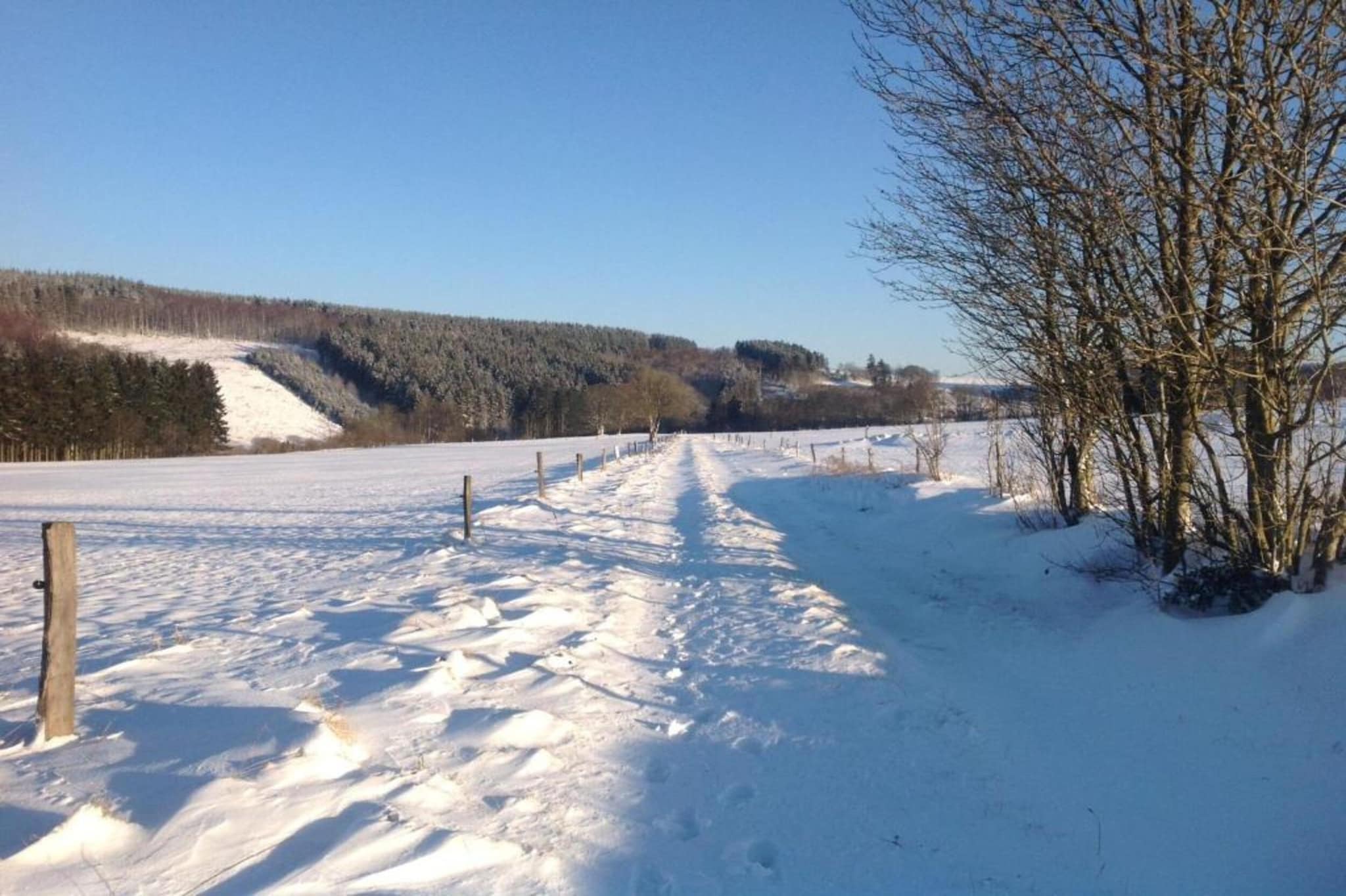 Safaritent 5 persons-Gebiet Winter 5 km