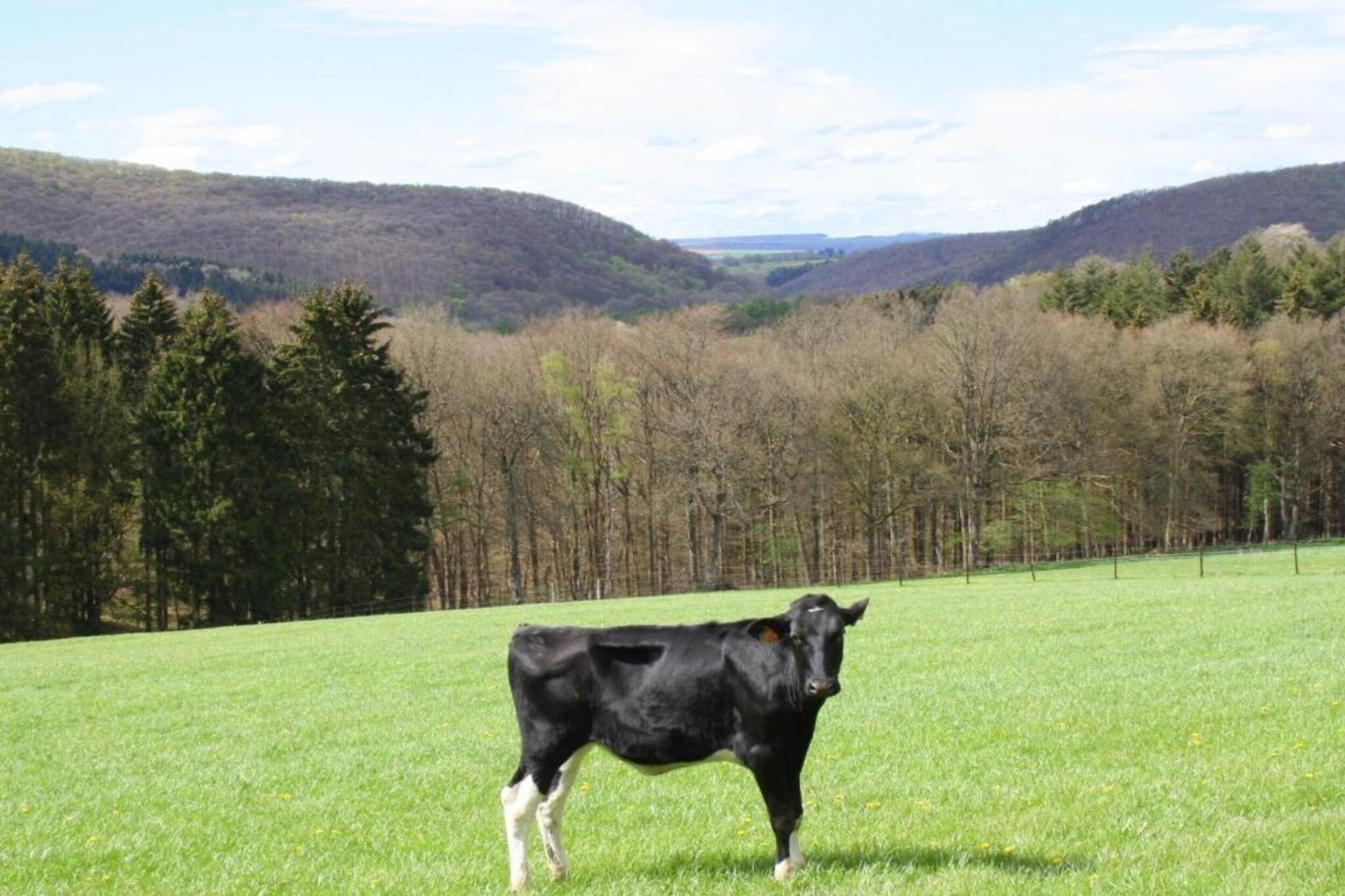 Safaritent 5 persons-Gebiete Sommer 5 km