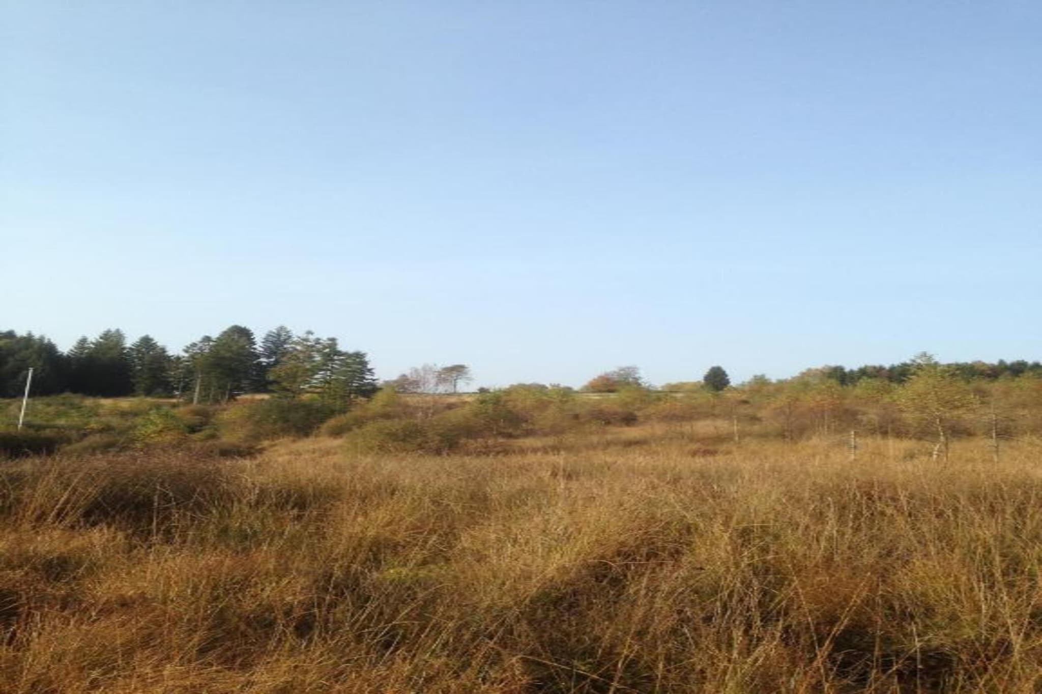 Safaritent 5 persons-Gebiete Sommer 5 km