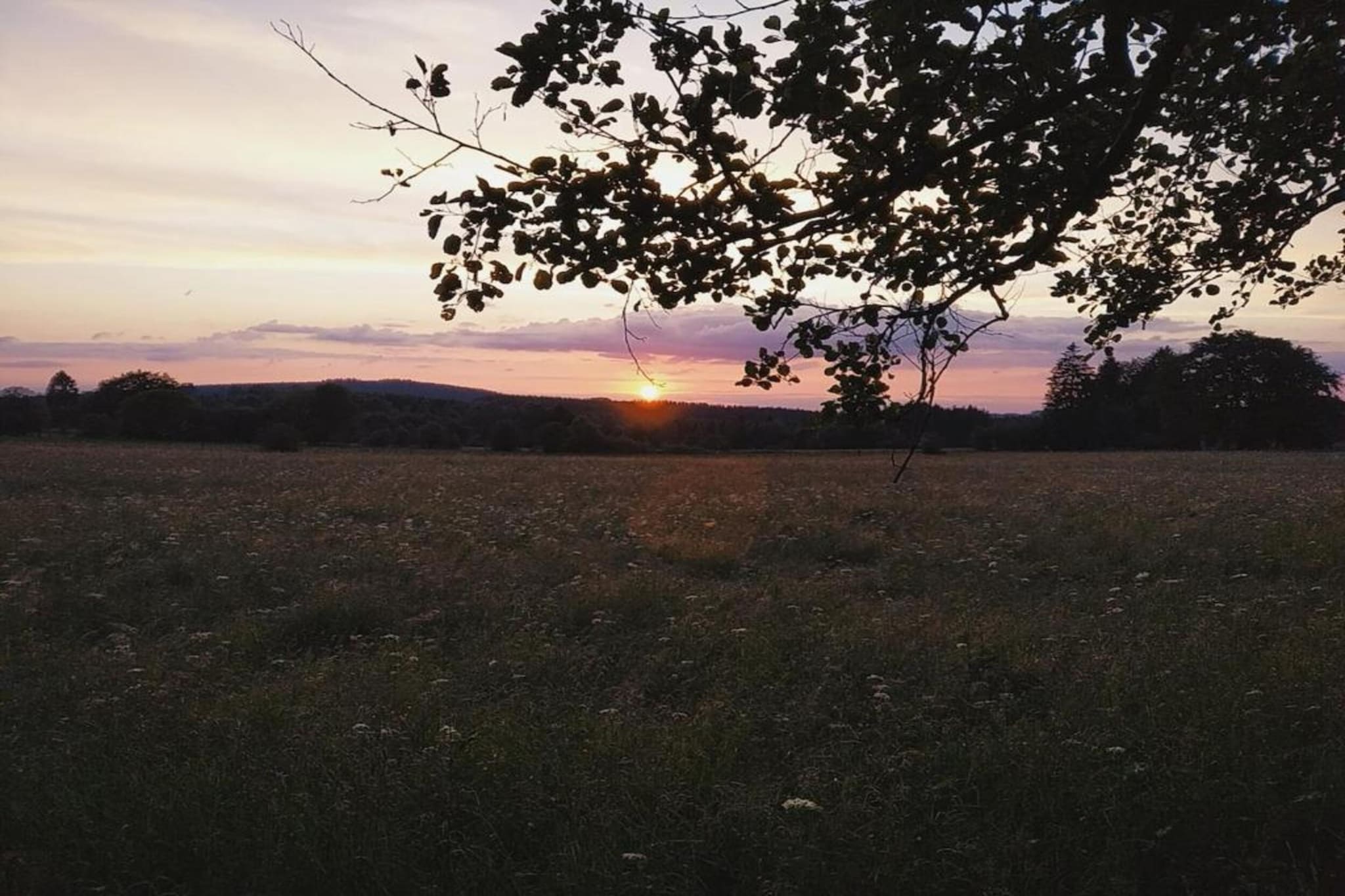 Safaritent 5 persons-Gebiete Sommer 5 km