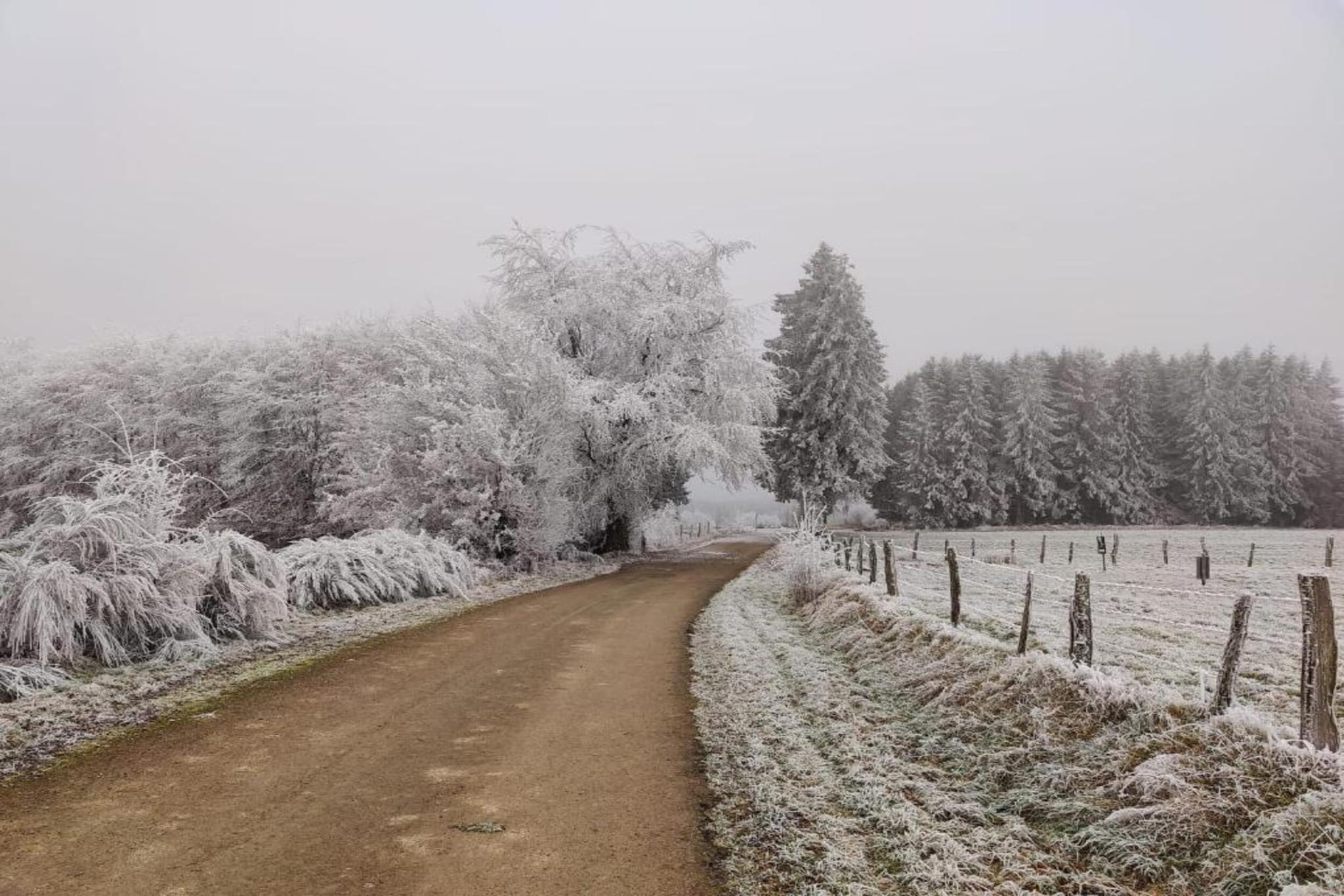 Safaritent 5 persons-Gebiet Winter 5 km