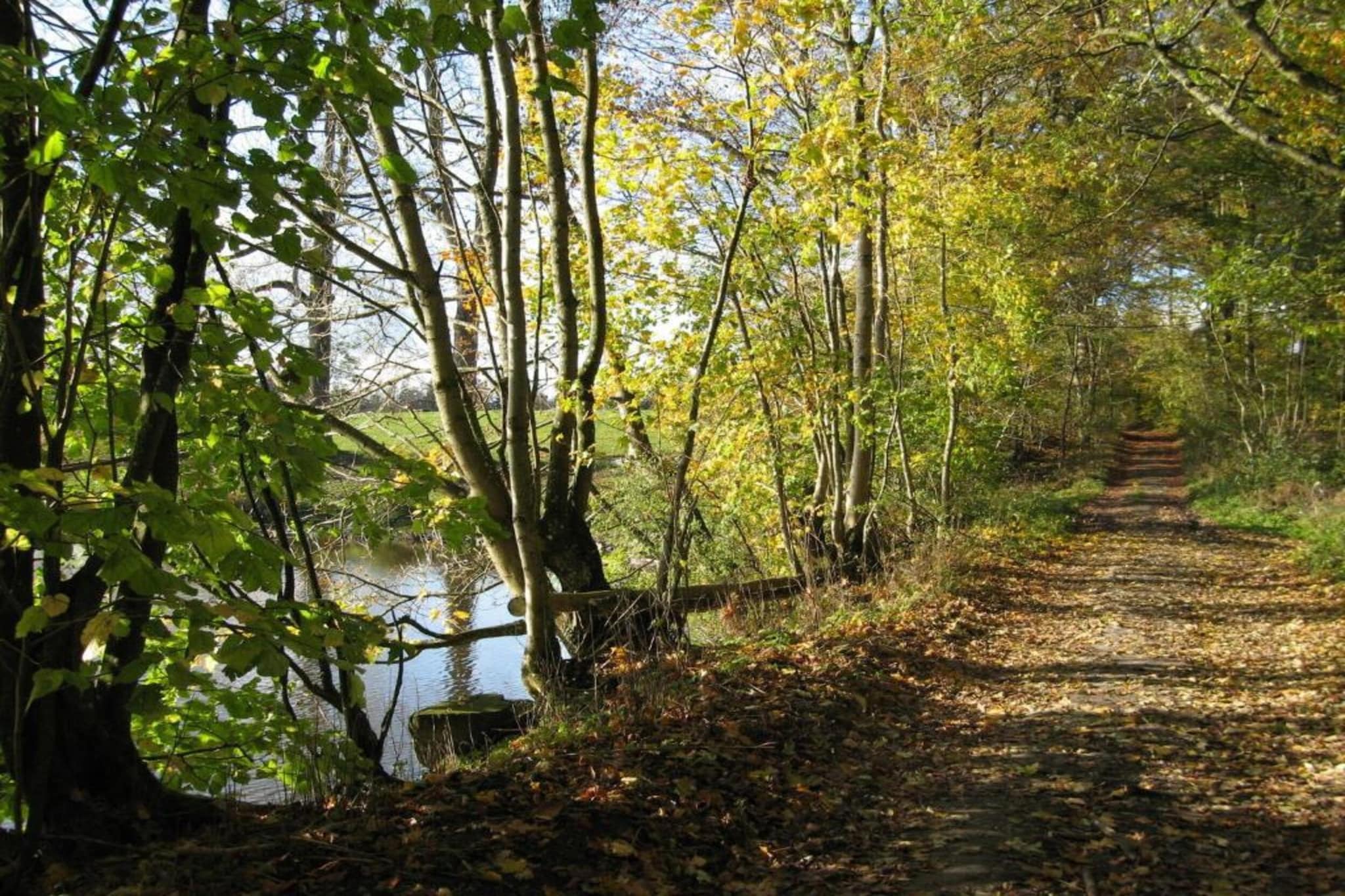 Chalet Renardeau-Areas summer 5km