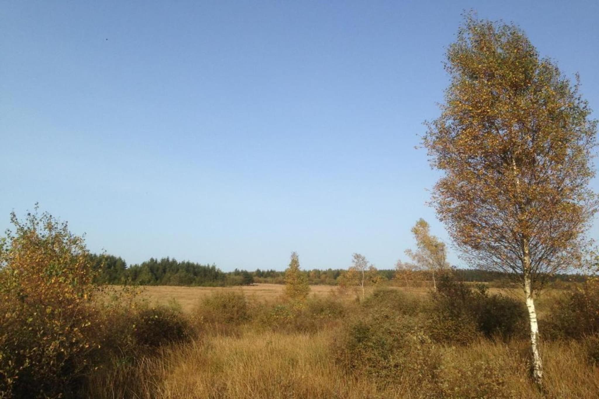 Chalet Renardeau-Areas summer 5km