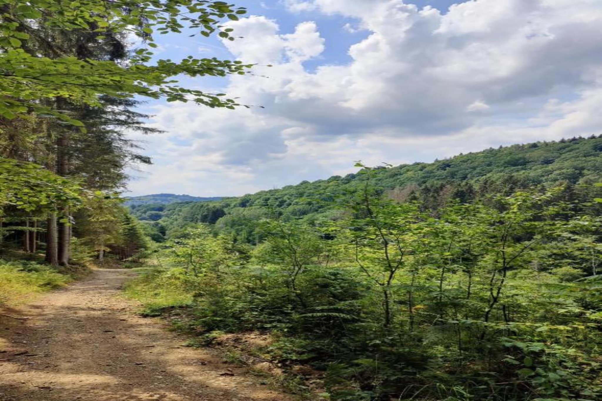 Chalet Renardeau-Areas summer 5km