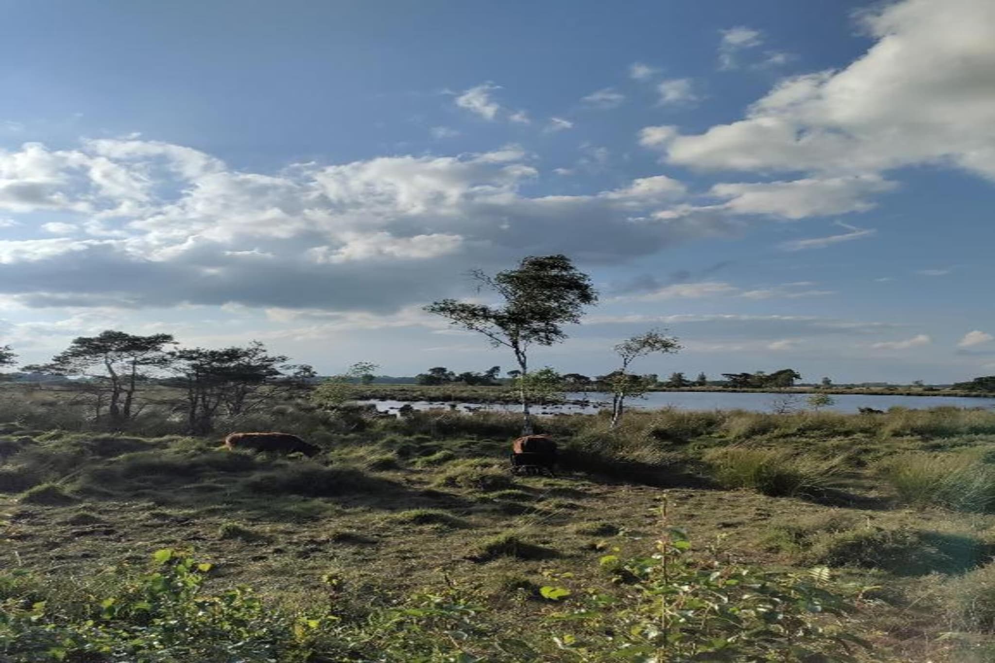 Safari tent for 5 person-Gebieden zomer 20km