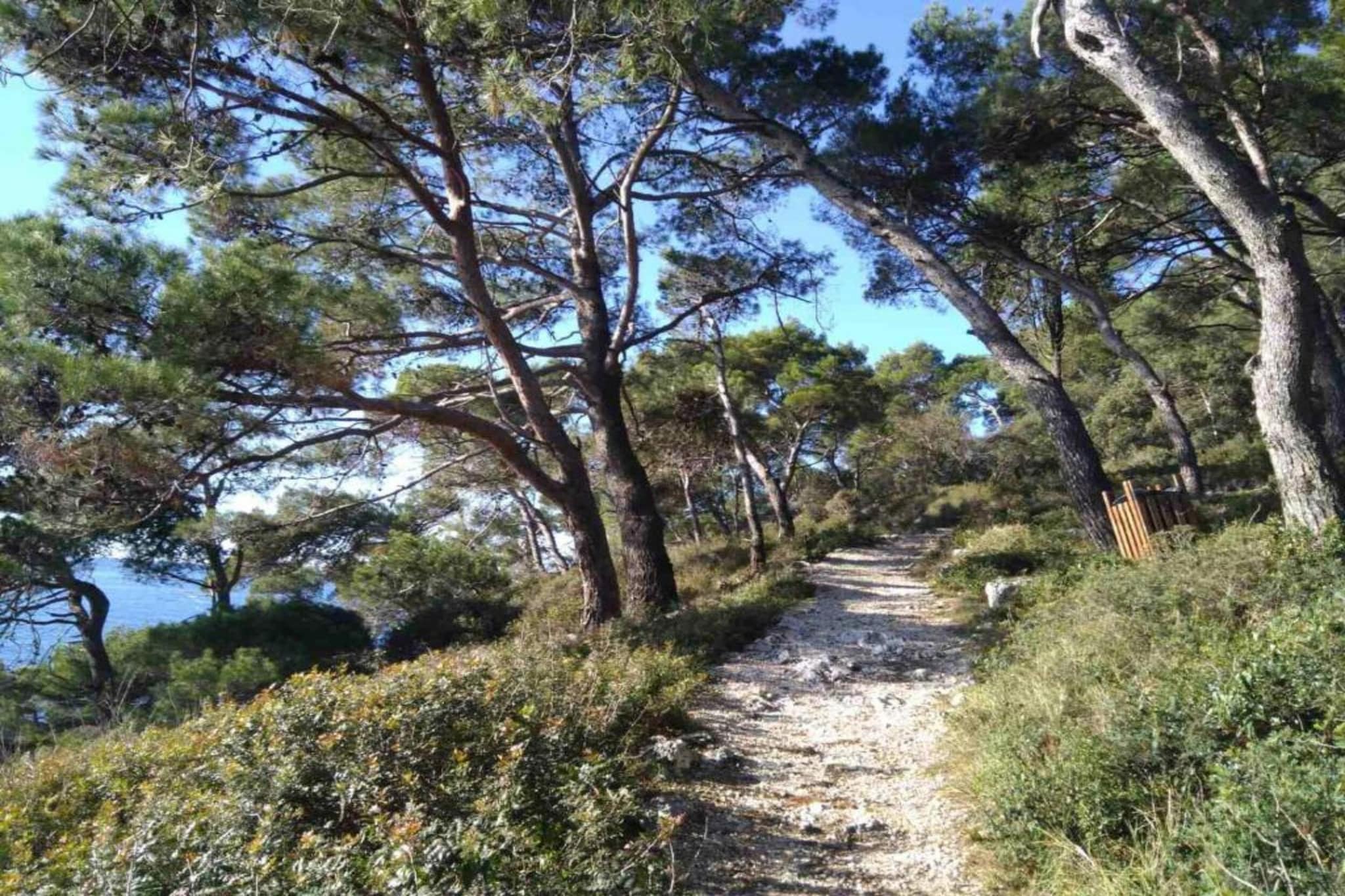 Lark-Gebieden zomer 20km