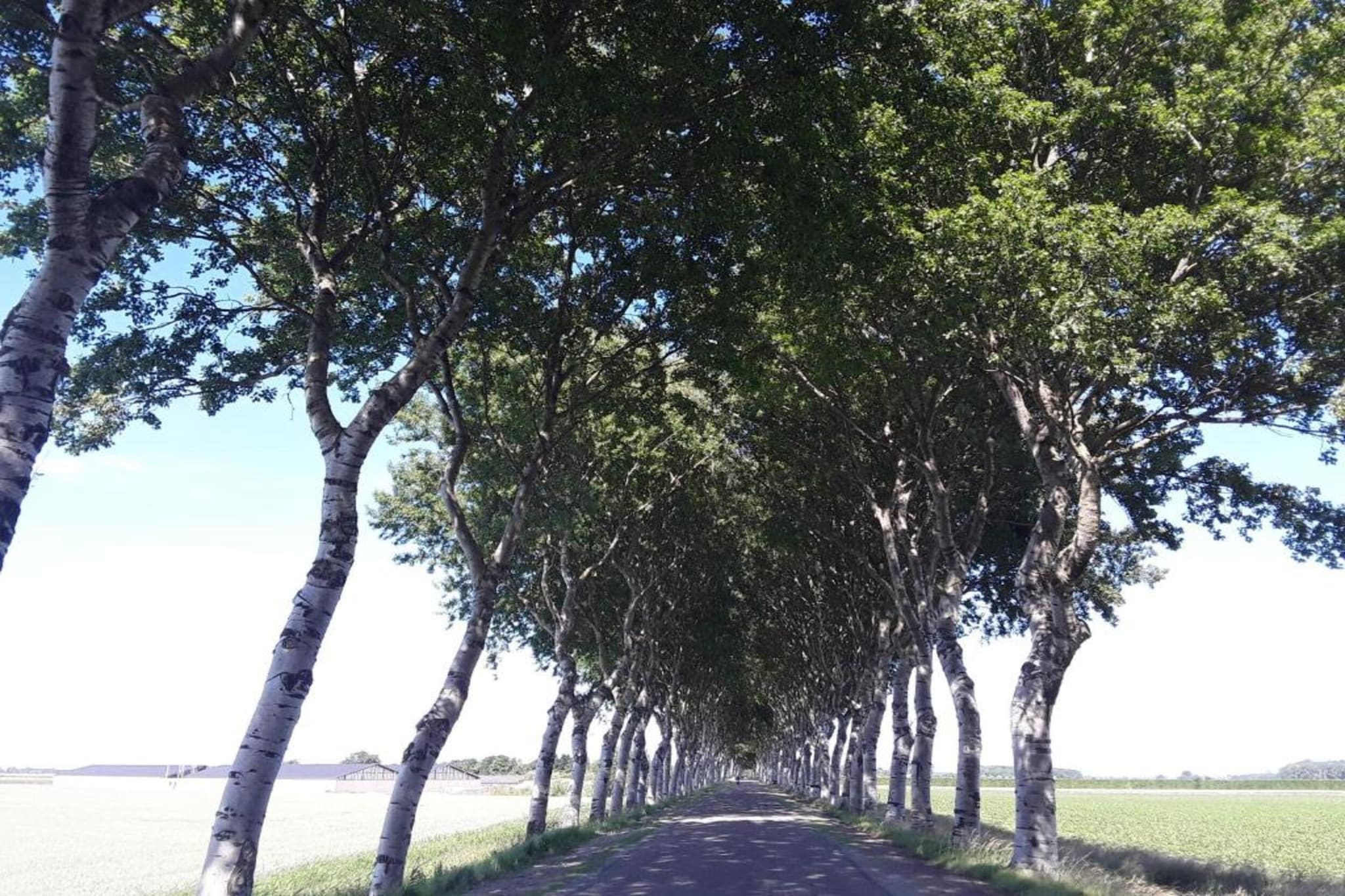 Super Cordelia-Gebieden zomer 20km