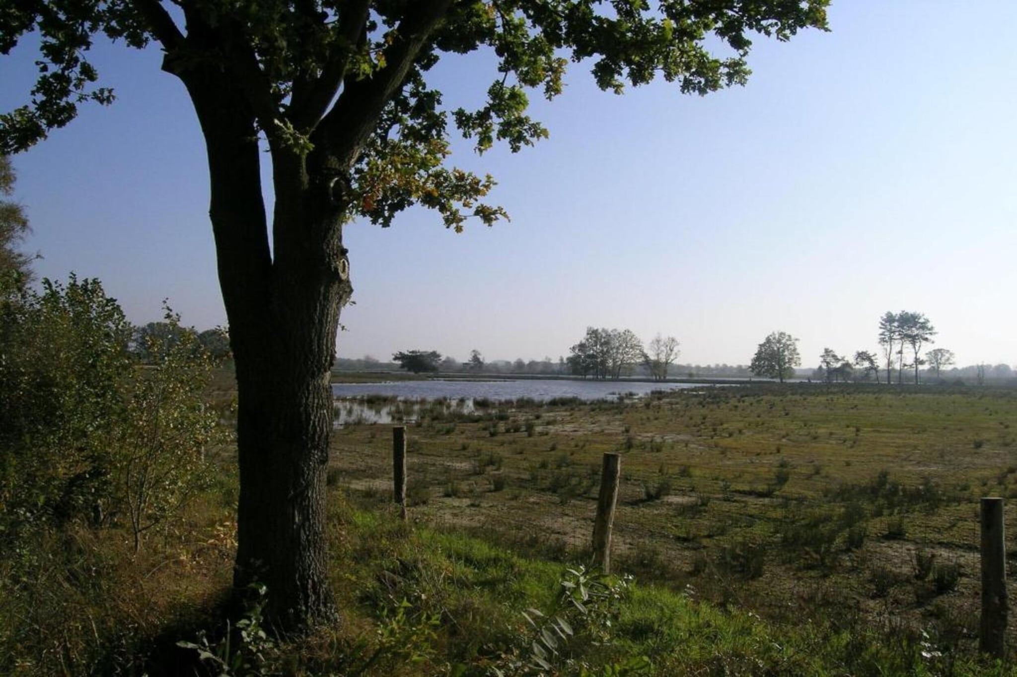O’Hara-Gebieden zomer 20km