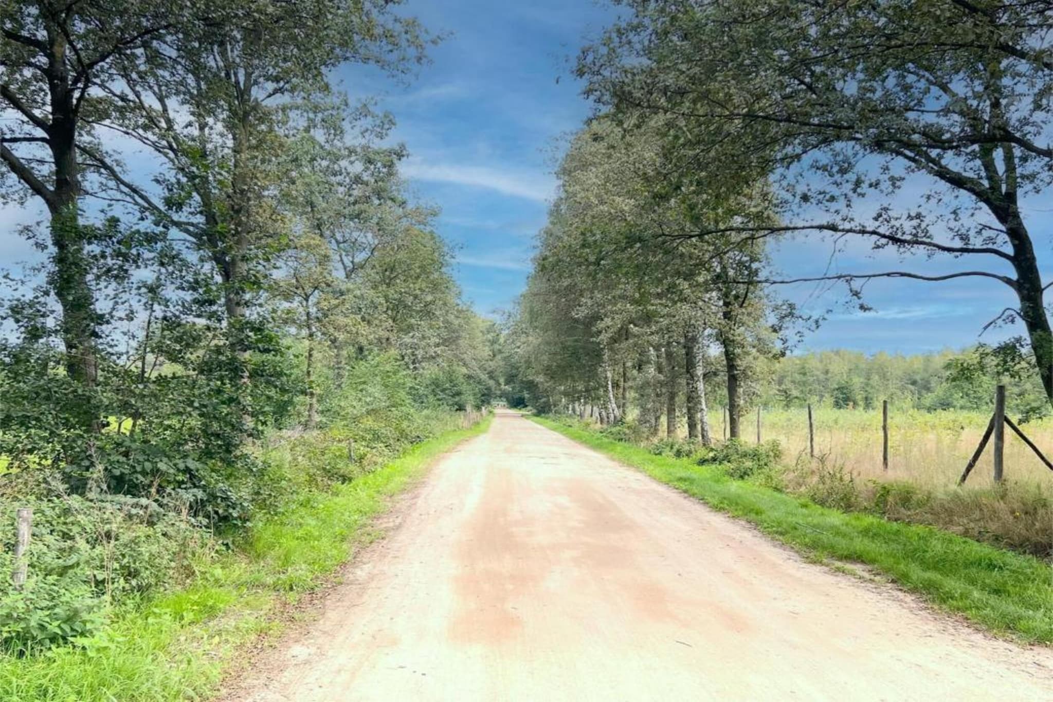 O’Hara-Gebieden zomer 20km