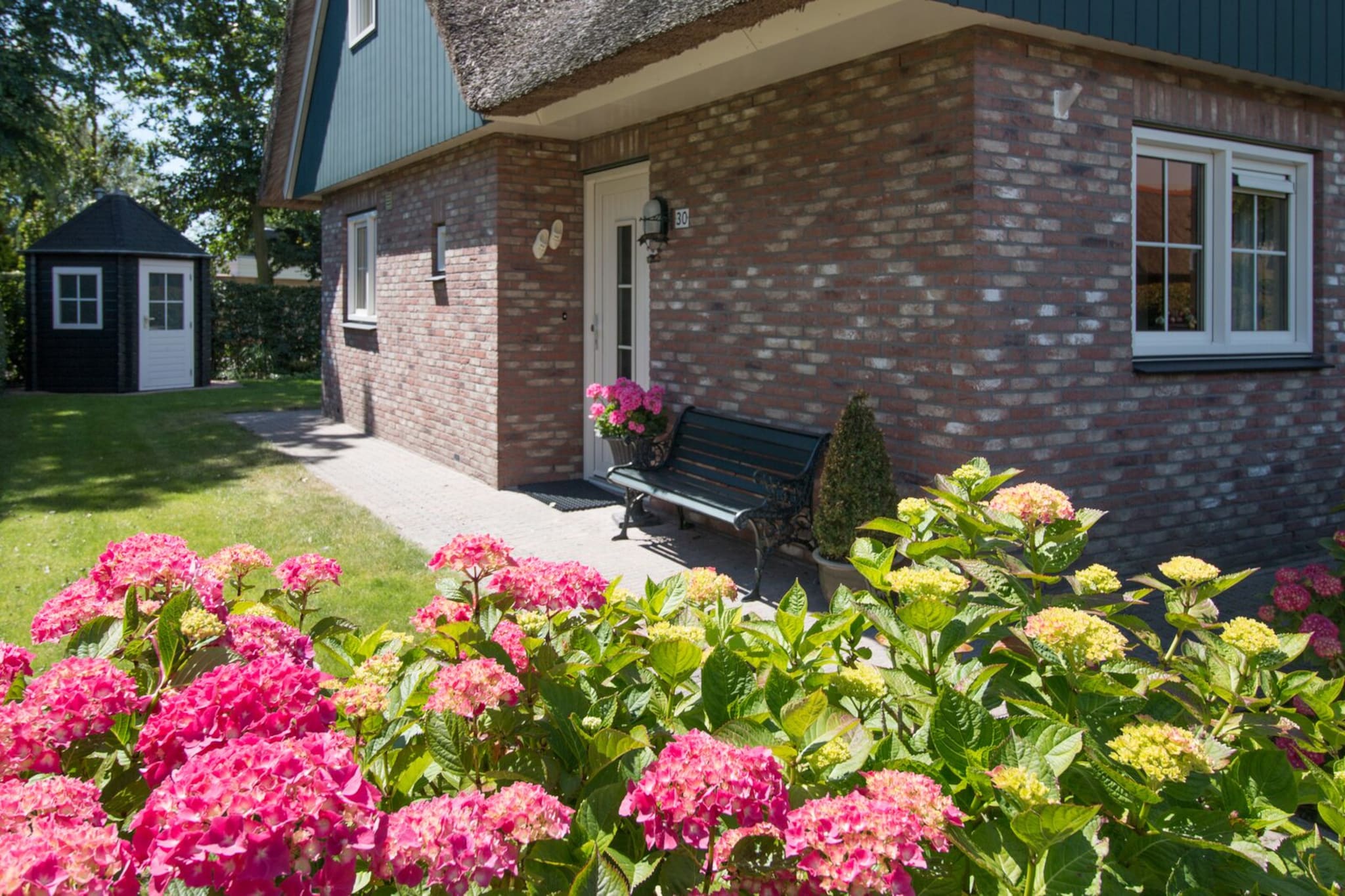 Luxurious coastal villa near forest