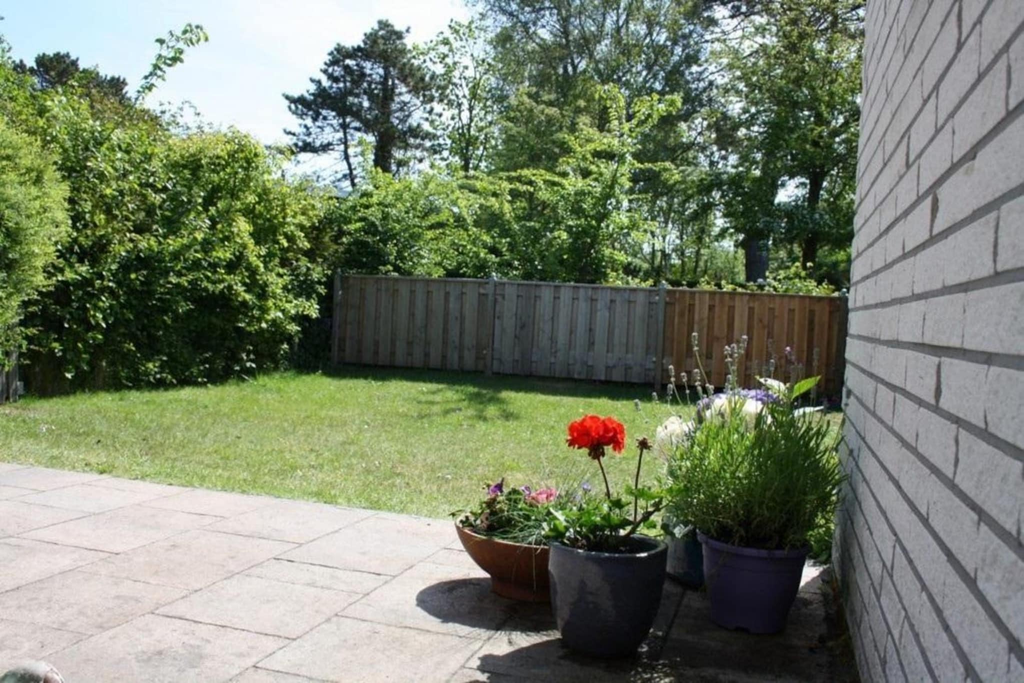 Garden Summer