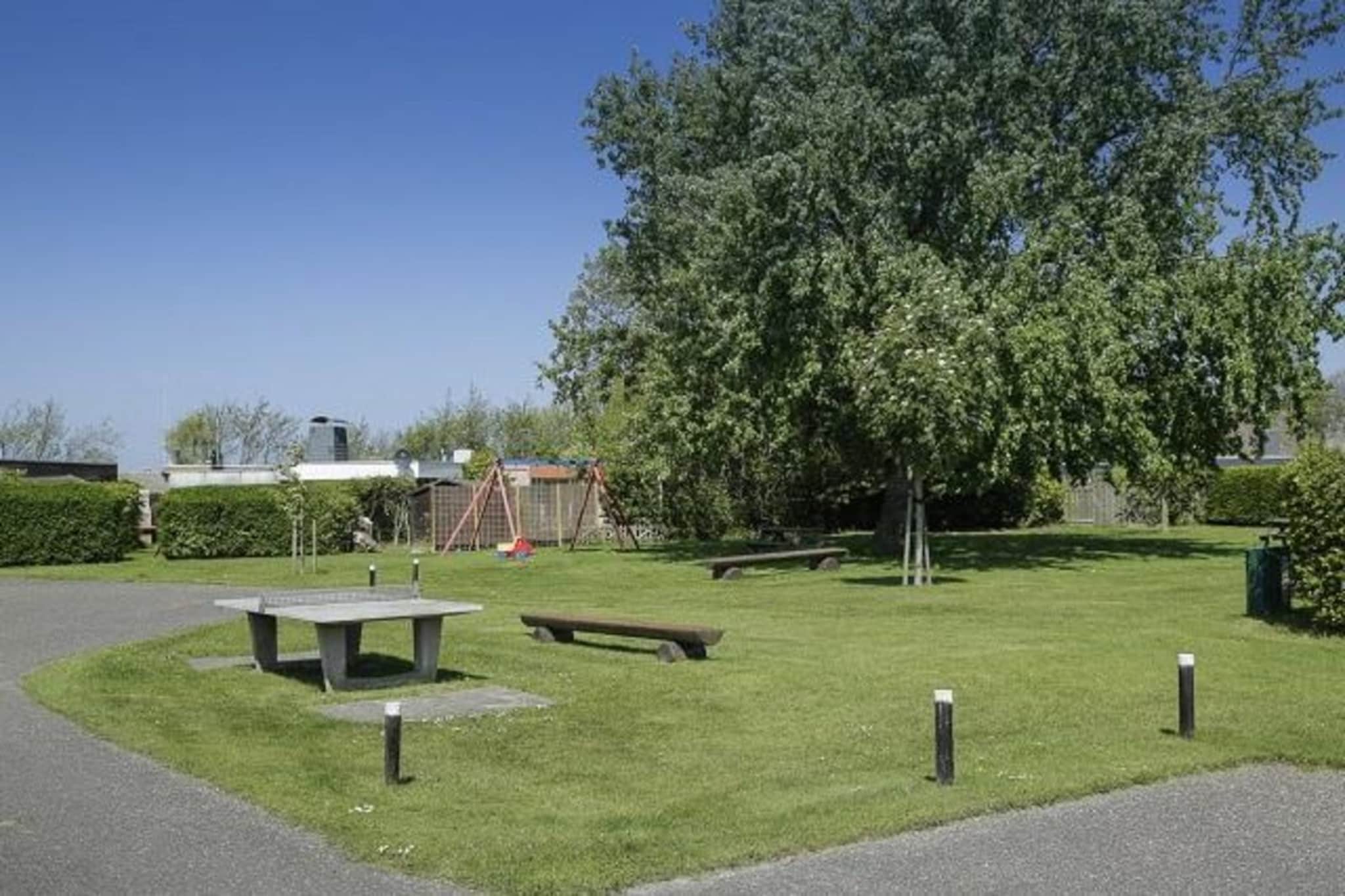 Garden Summer
