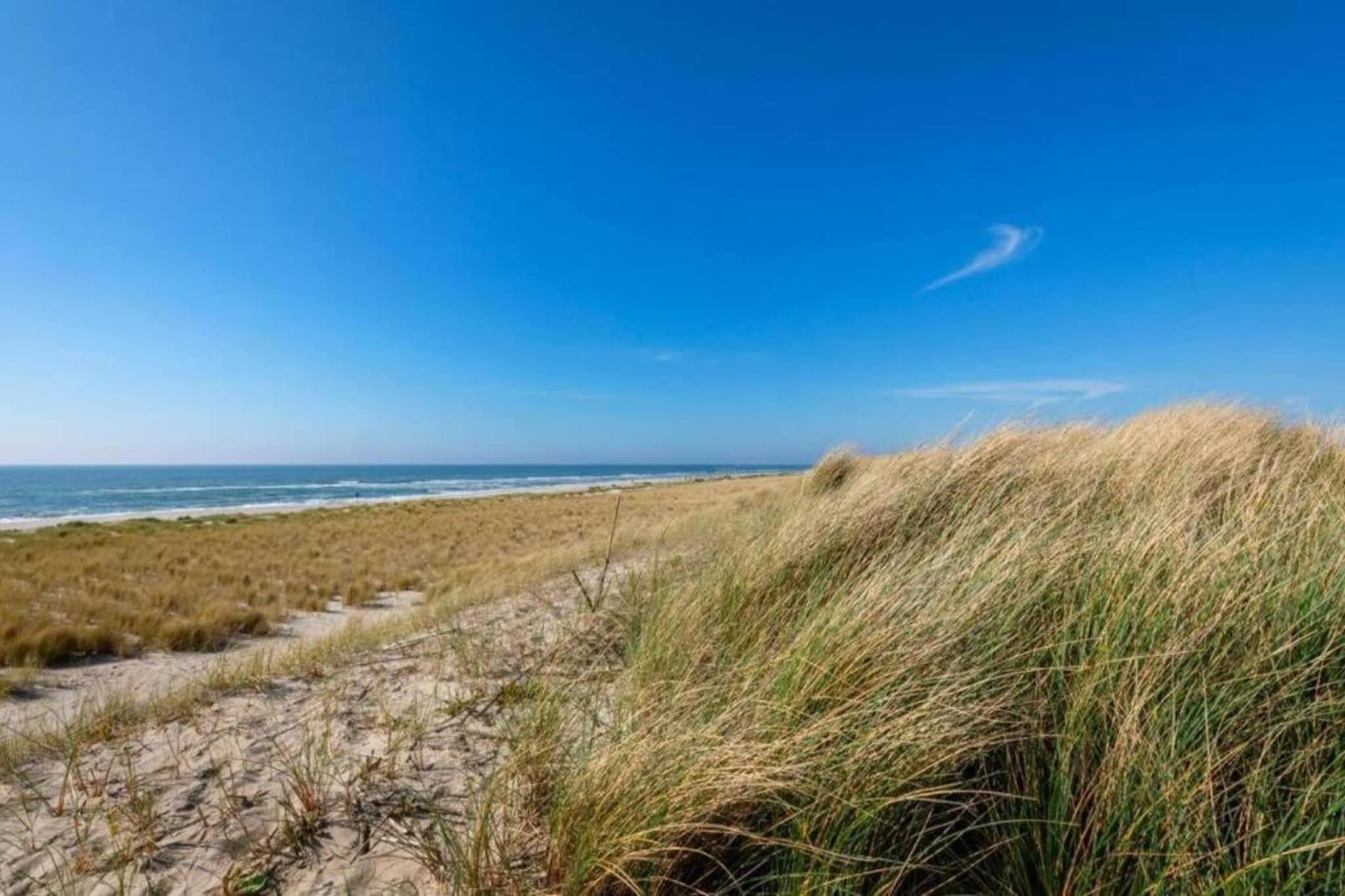 Anzelhoef apartment West-Gebieden zomer 5km