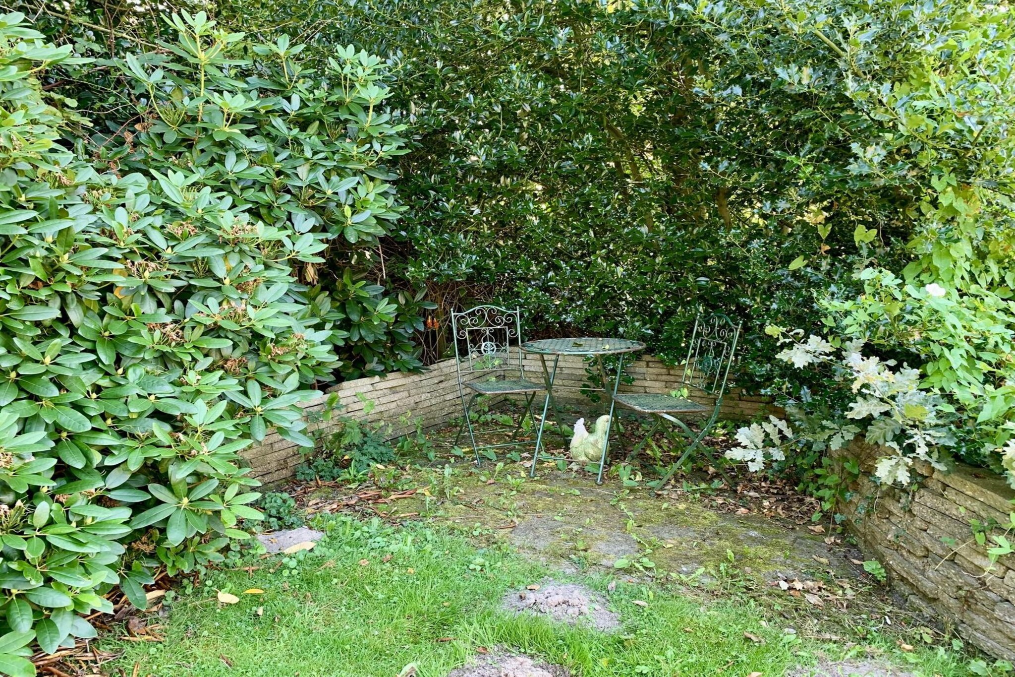 Garden Summer
