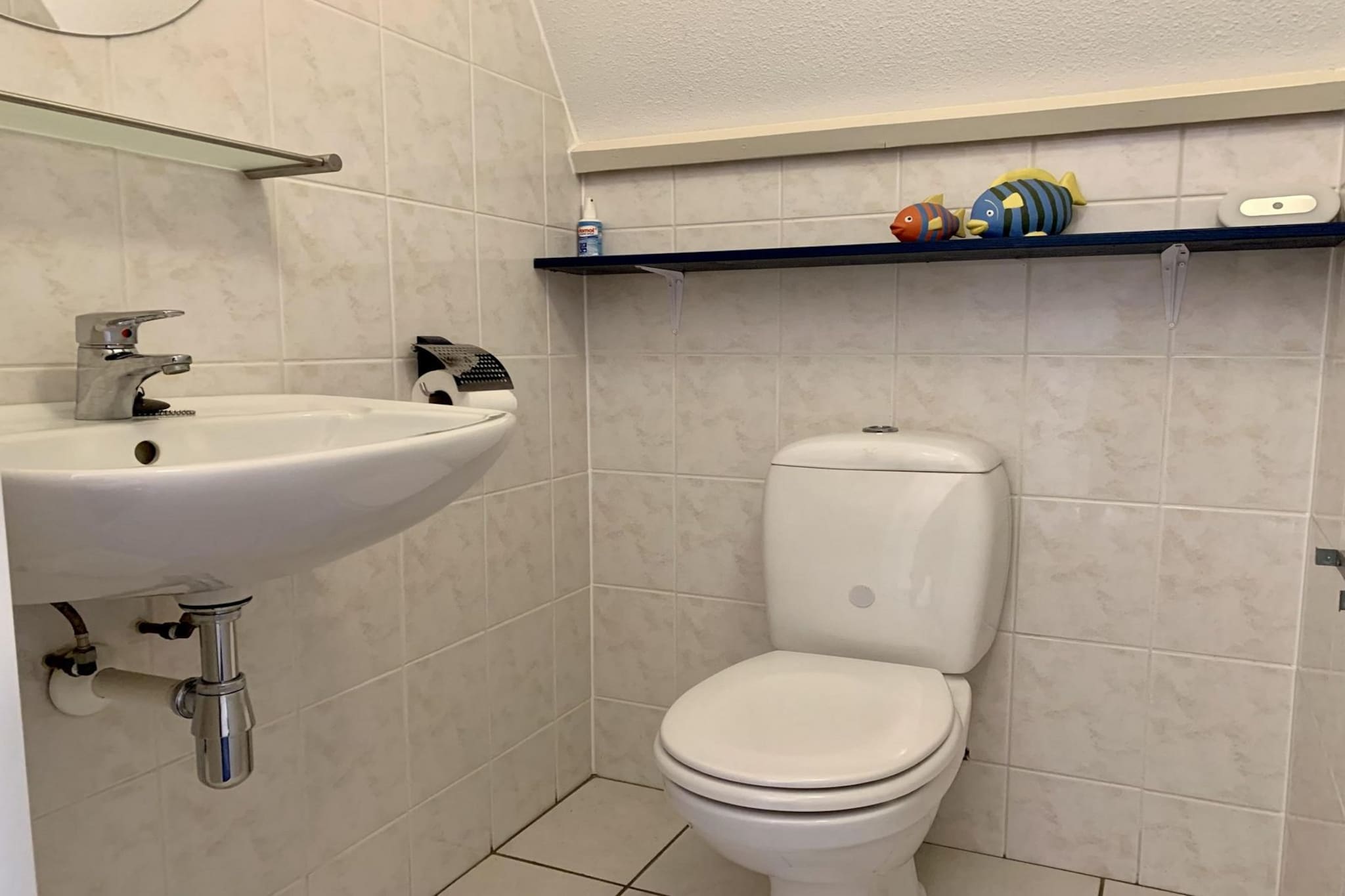 Campanula 56-Badkamer