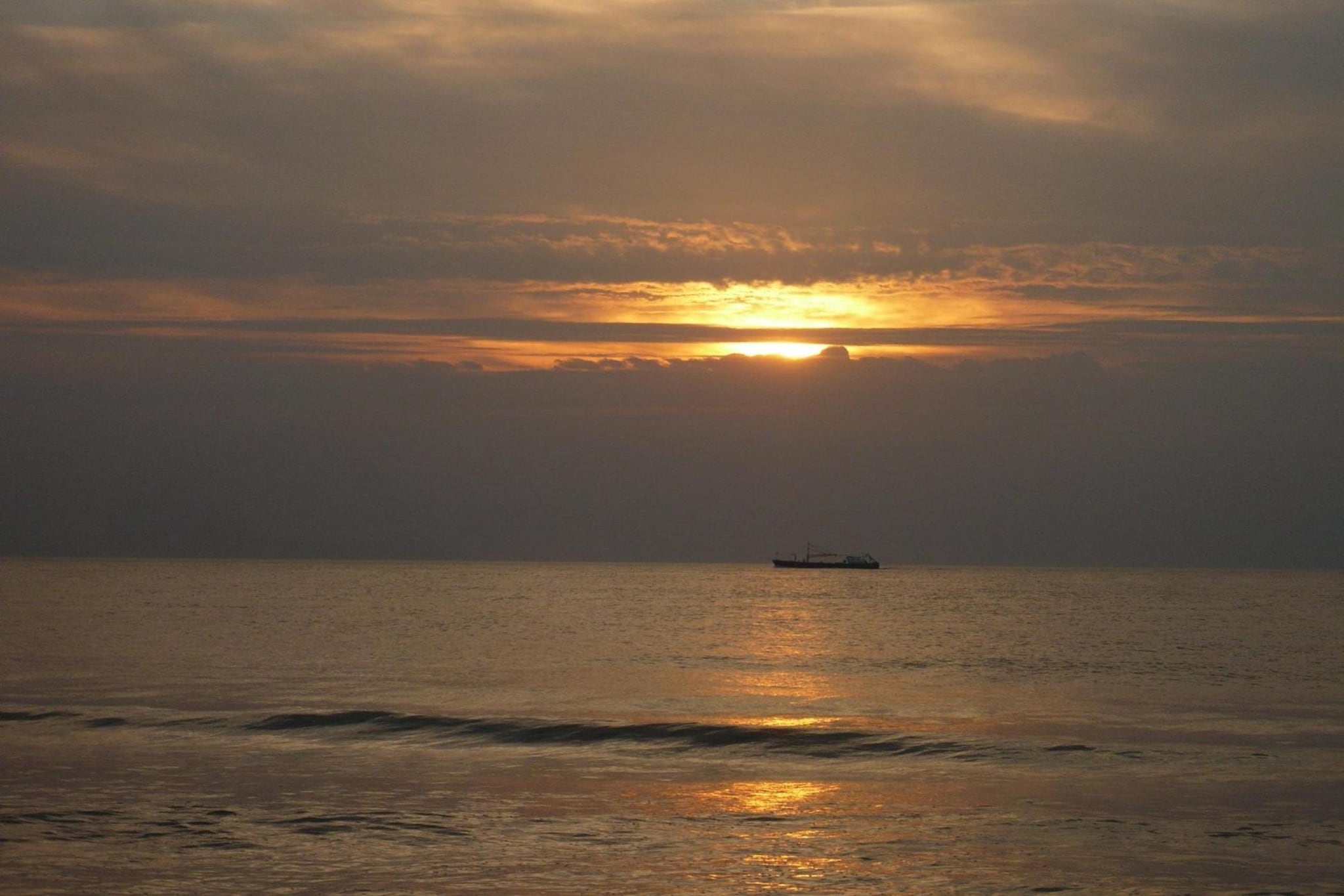 Campanula 56-Gebieden zomer 5km