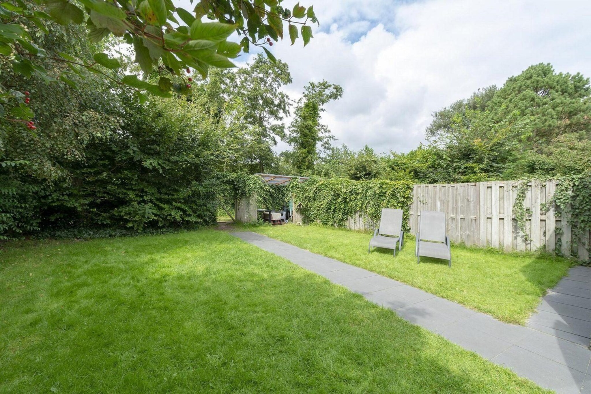Garden Summer