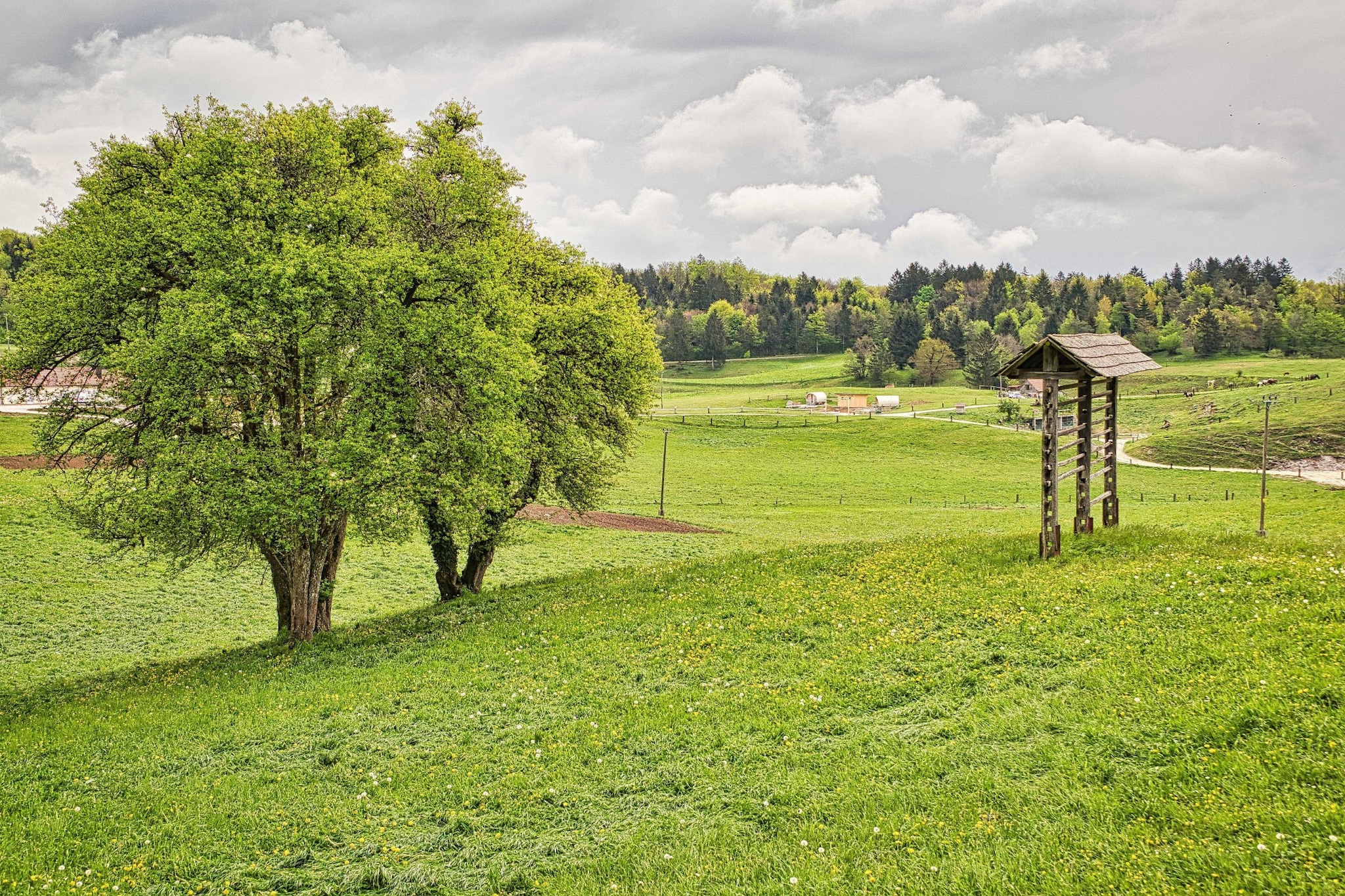 Visnja Gora Meadow Hideaway with Terrace - One Bedroom Cottage with Terrace (owner Hiška na skalci)-Buitenlucht