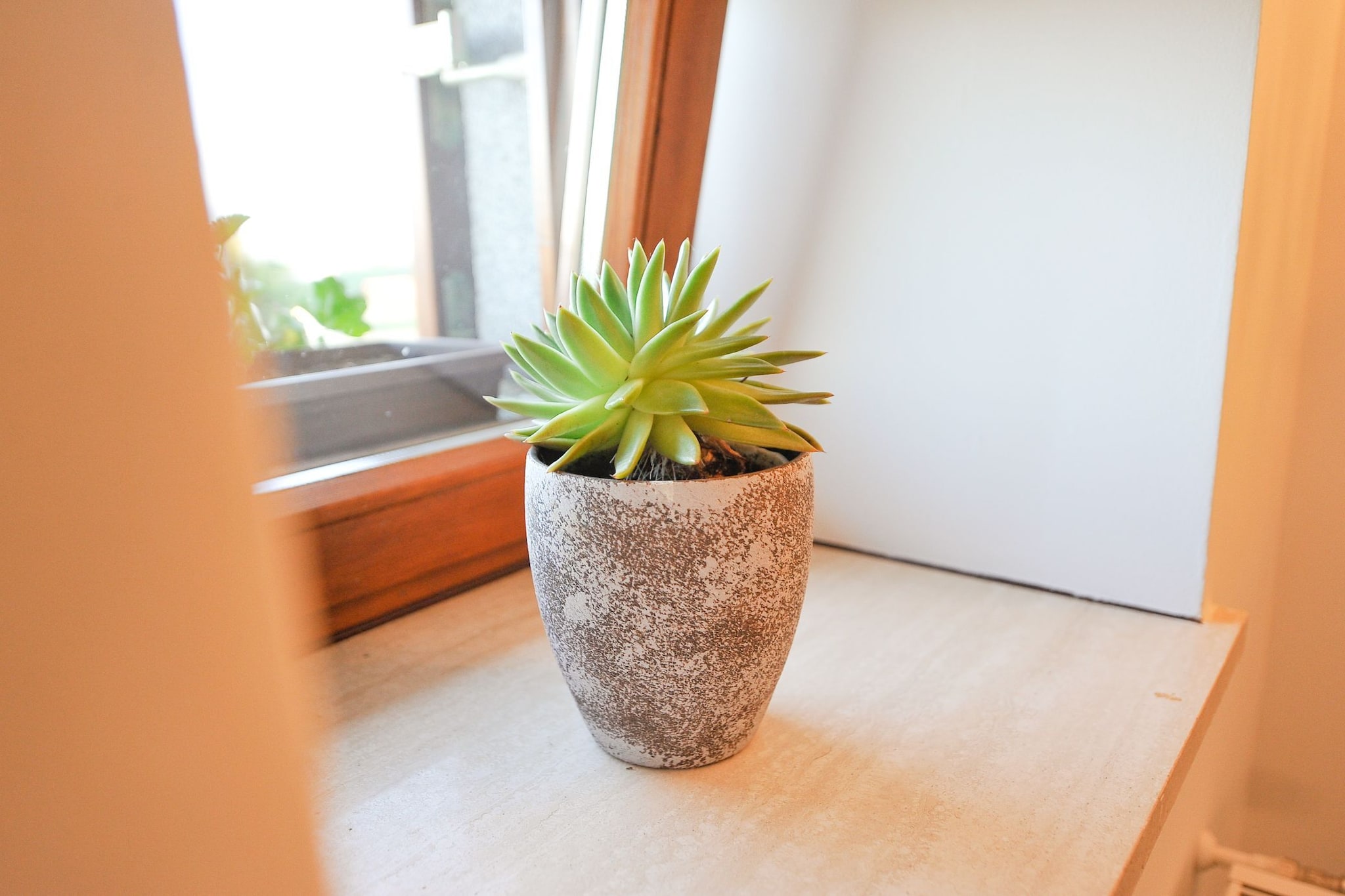 Relax and Rustic Apartments with Terrace - Classic One Bedroom Apartment with Terrace (owner Silvester)-Binnen