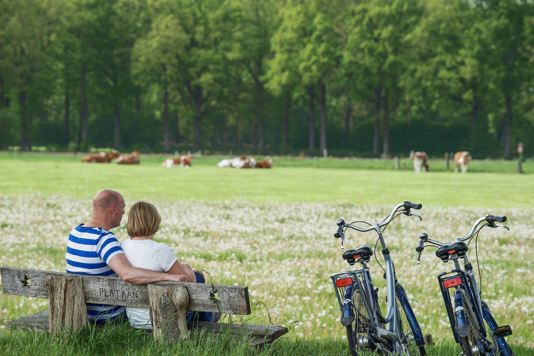 Chalet 4 persons-Gebieden zomer 5km