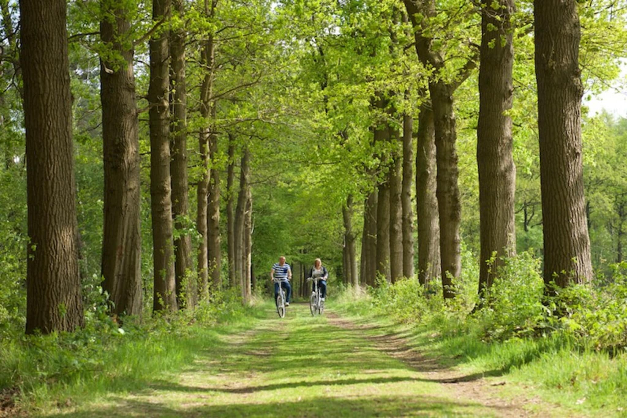 Holiday home 6 persons kids-Gebieden zomer 20km