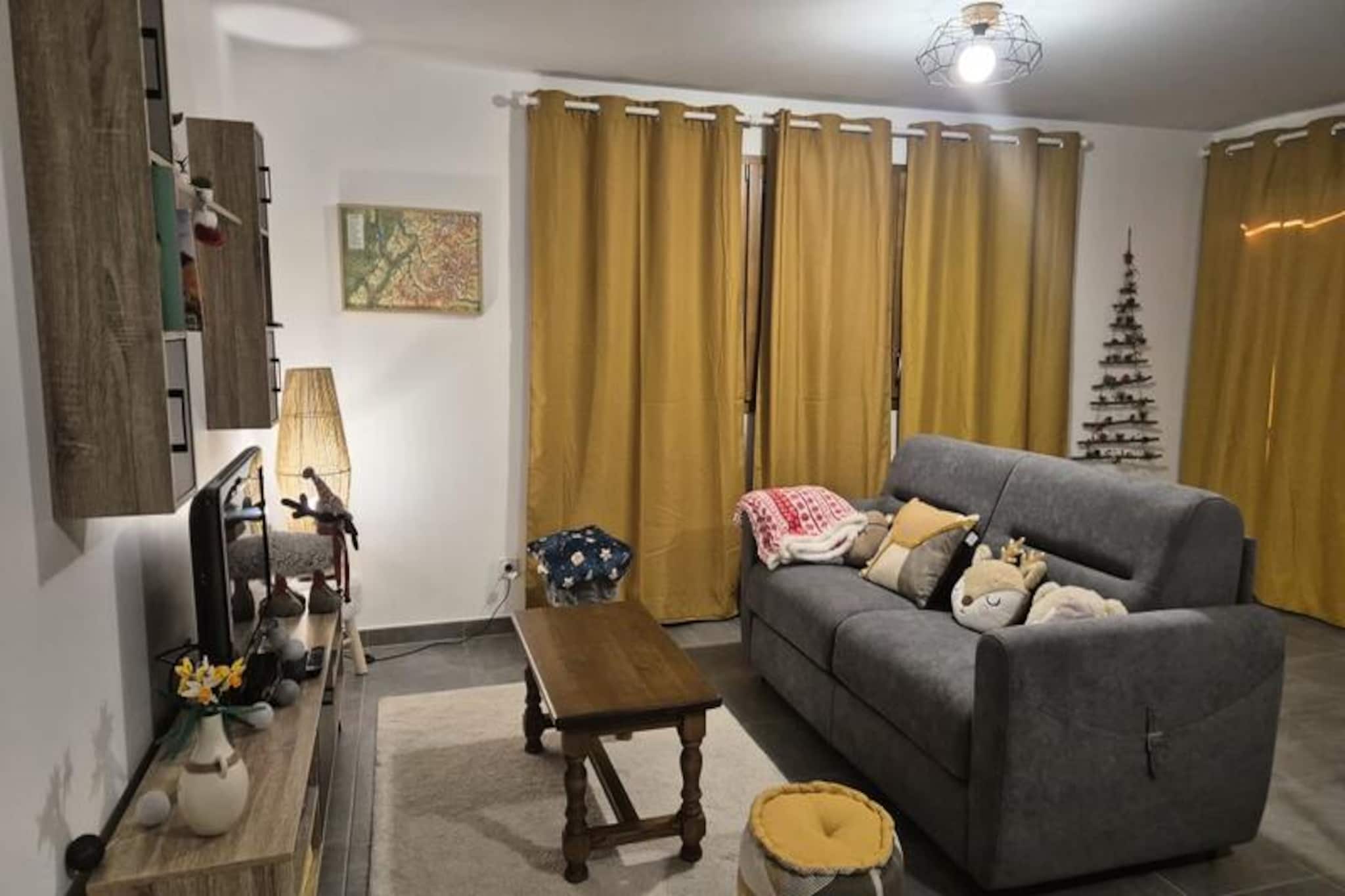 Spacieux Appartement Au Pied Des Pistes-Image-tags.