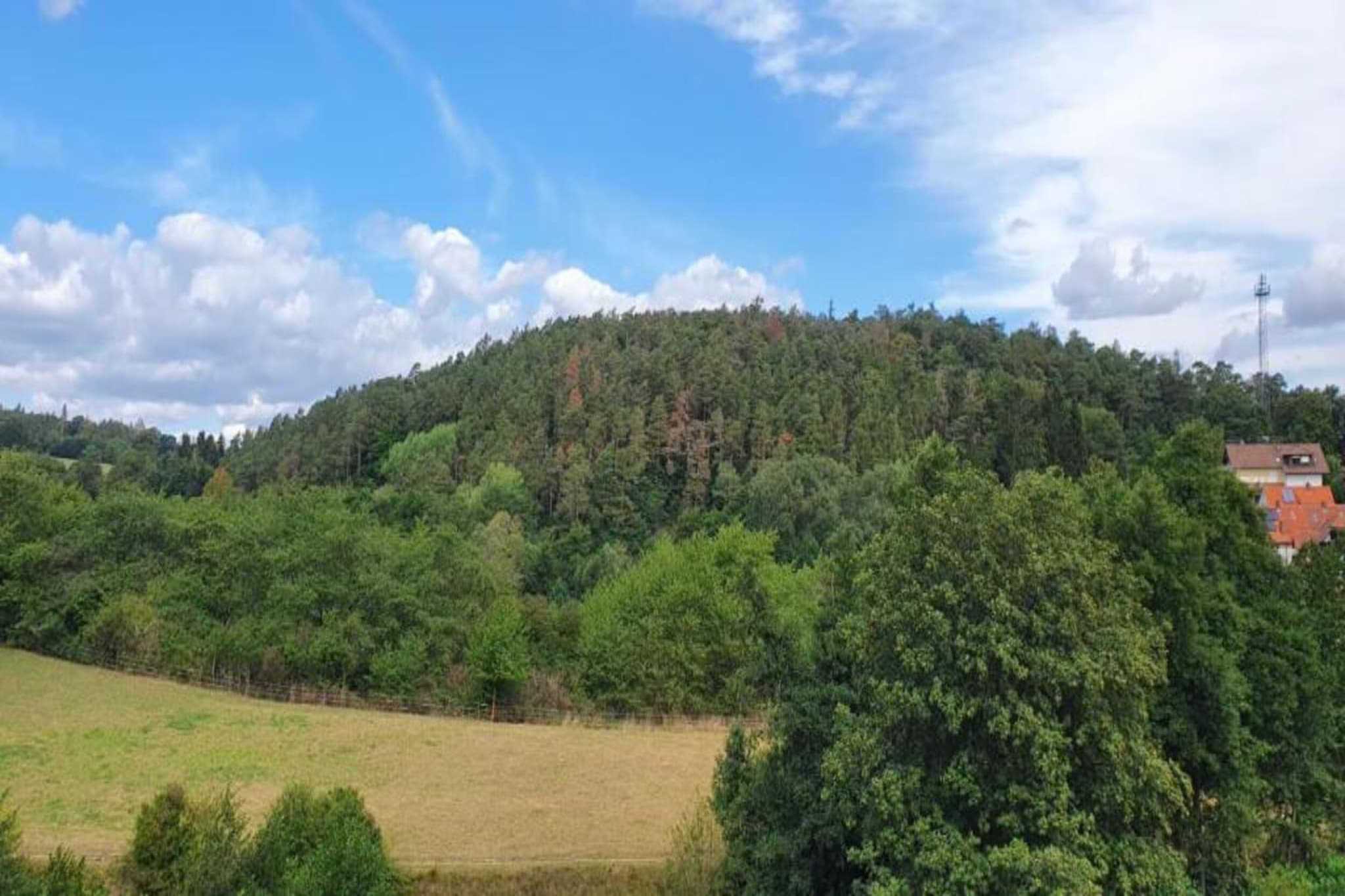 Haus Knoche-Gebieden zomer 20km
