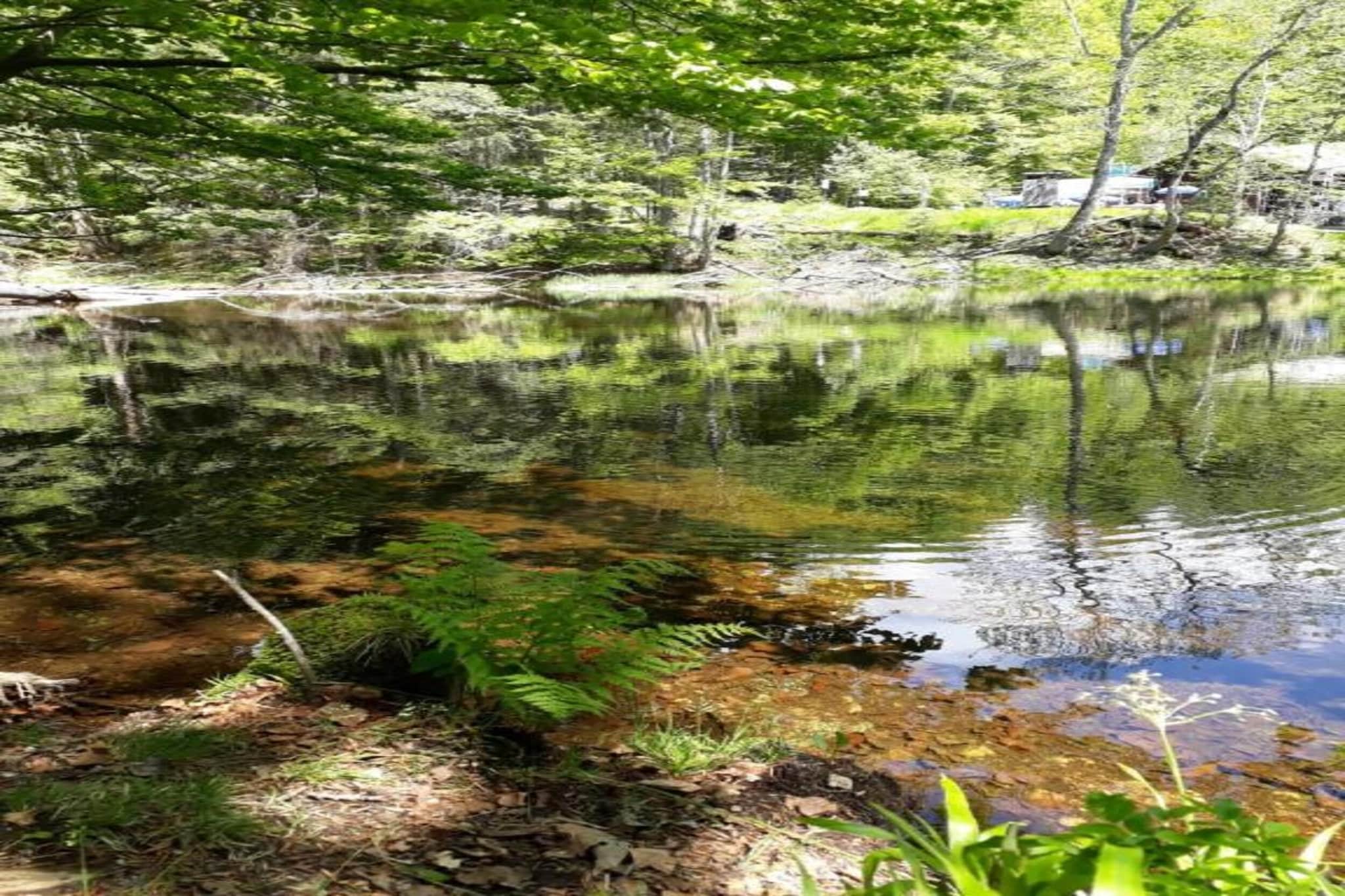 Feriendorf Waldbrunn 1-Gebieden zomer 20km