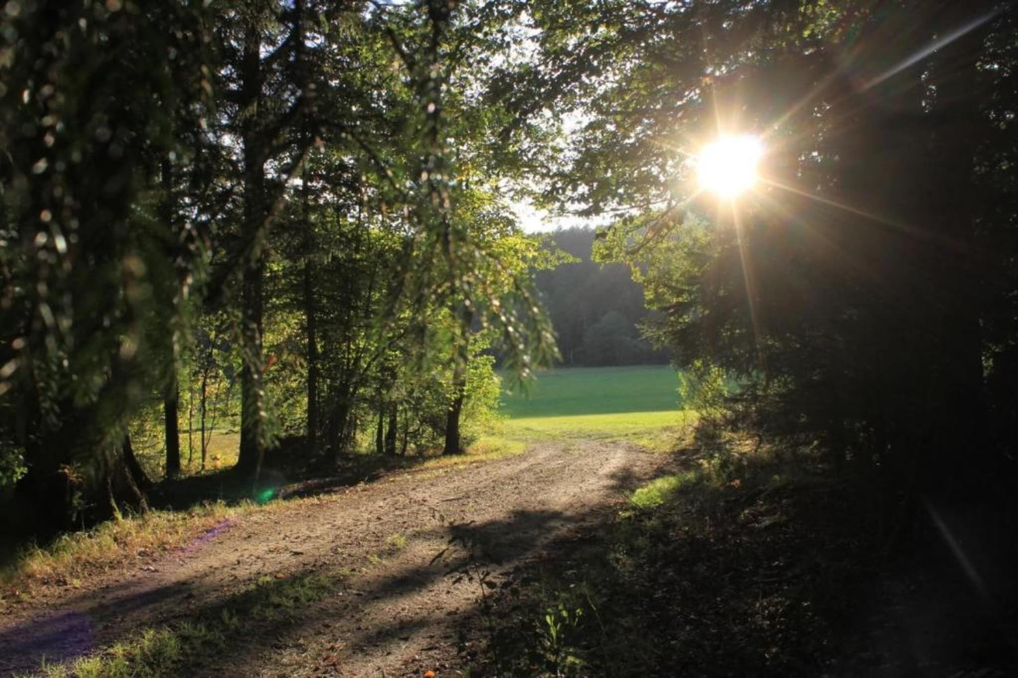 Feriendorf Waldbrunn 1-Gebieden zomer 20km