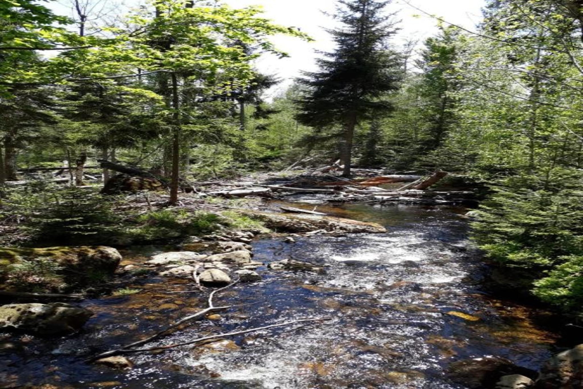 Feriendorf Waldbrunn 1-Gebieden zomer 20km