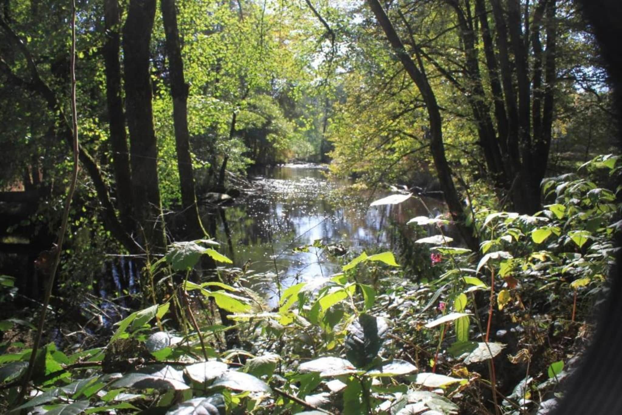 Feriendorf Waldbrunn 1-Gebieden zomer 20km