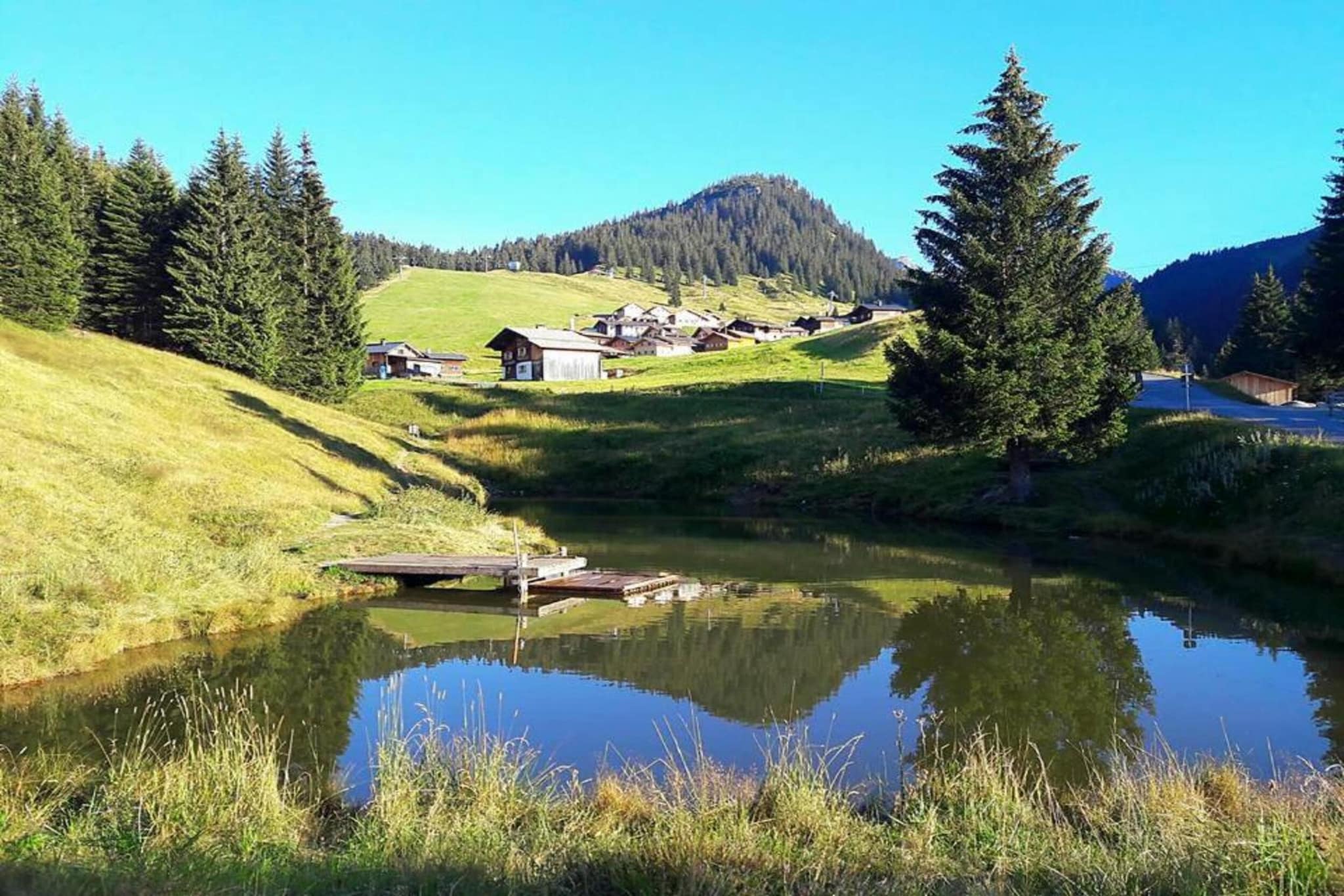 Bials-Gebieden zomer 20km