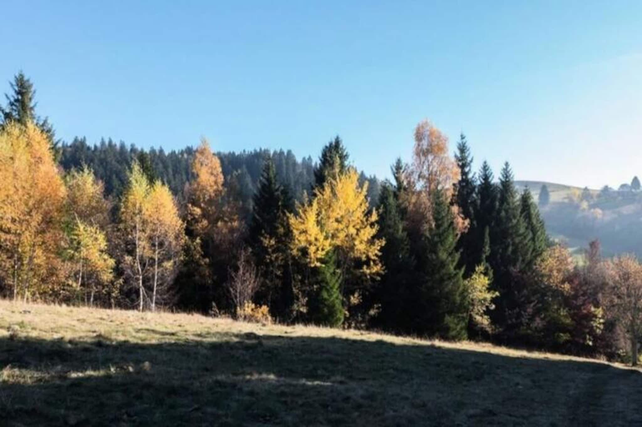 Appartement Familial Au Pied Des Pistes-Image-tags.