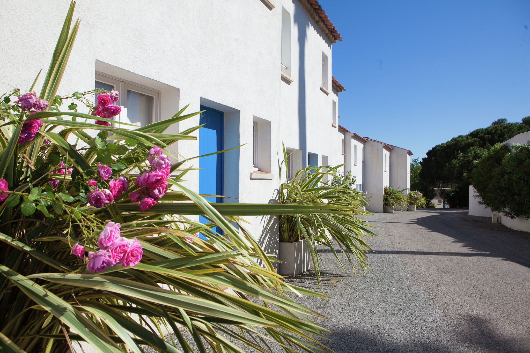 Well-kept bungalow with combi-microwave, beach at 5 km.