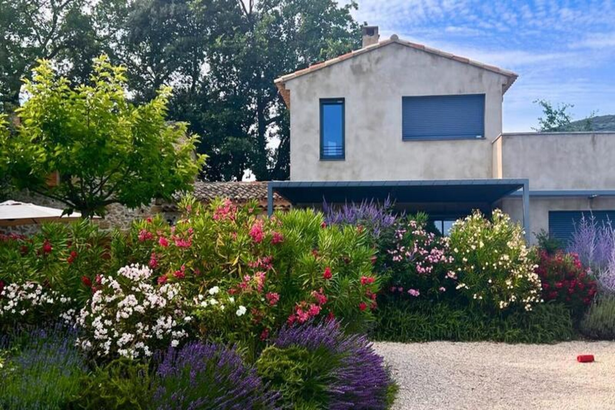 House at the Foot of the Vines