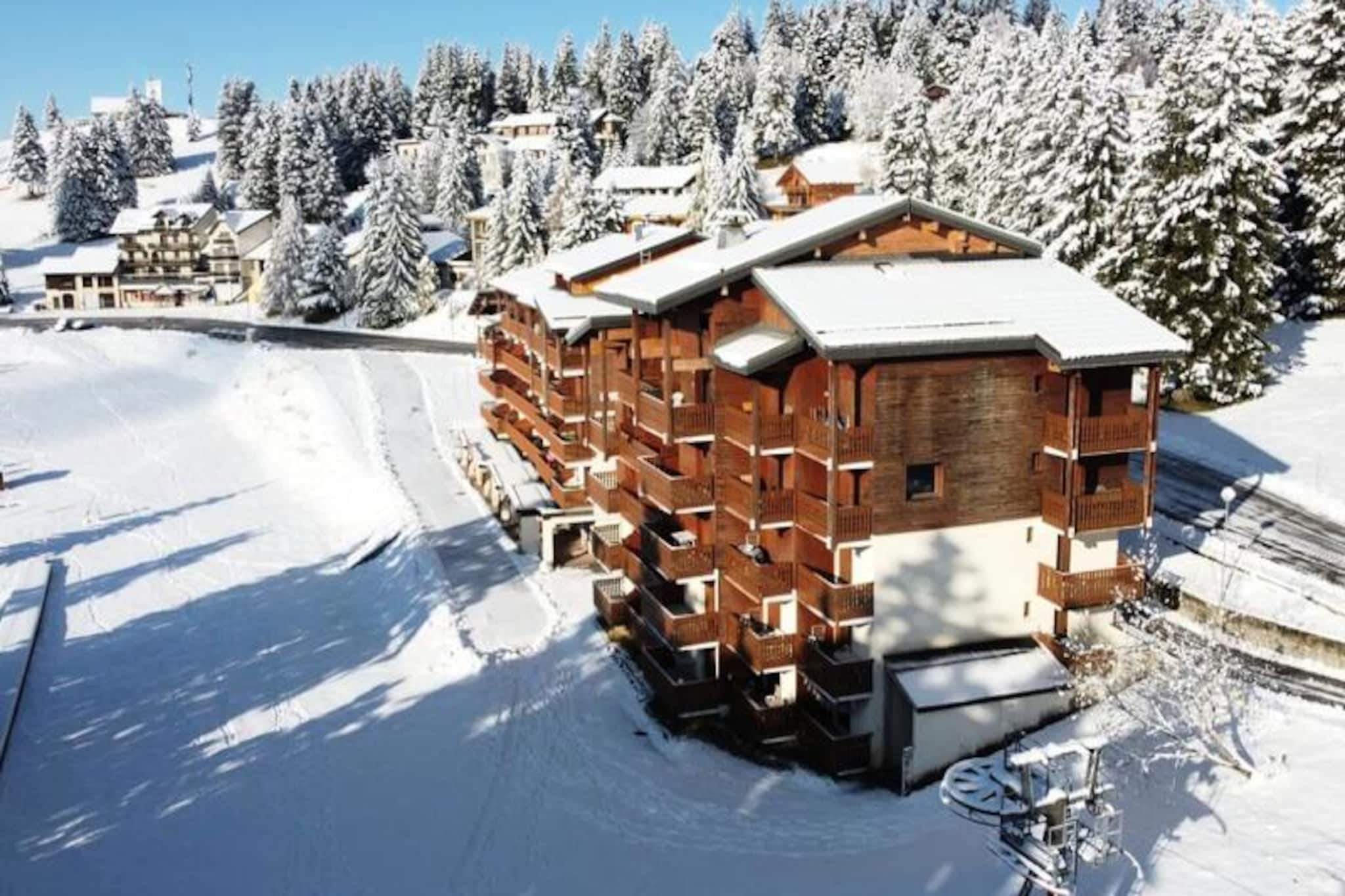 Apartment in France near Ski School