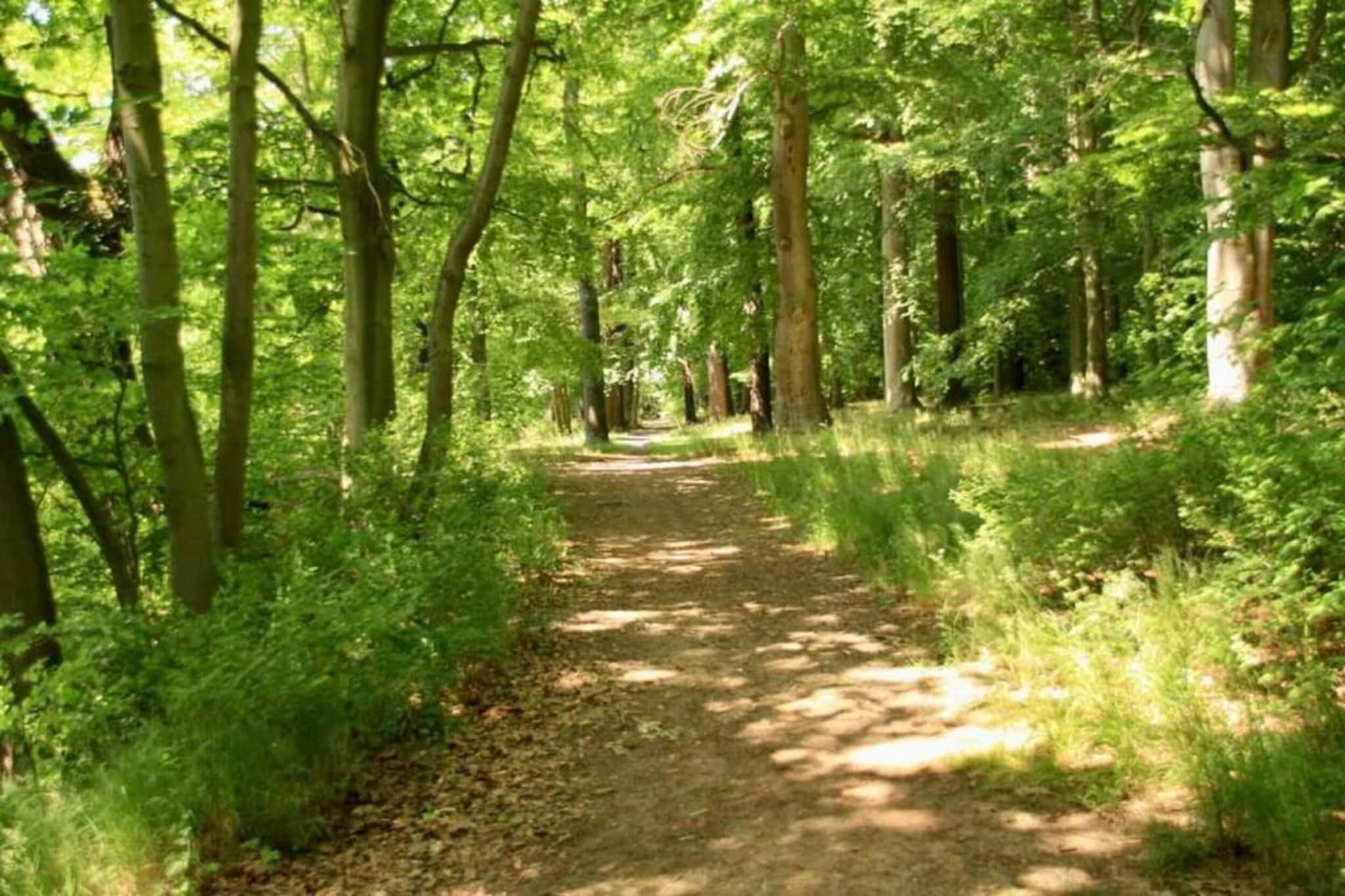 Jitka-Gebieden zomer 20km