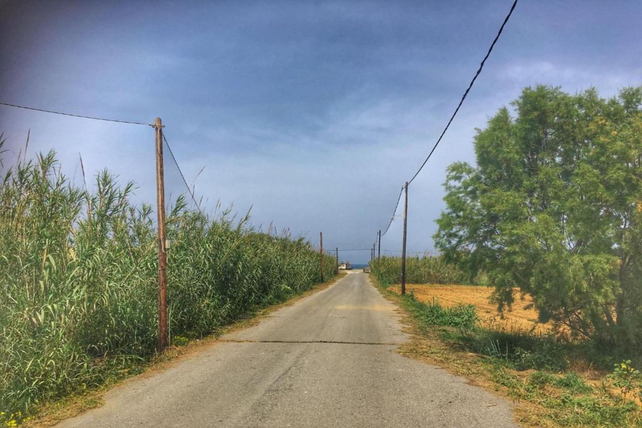 Mare Civitas Unum-Gebieden zomer 20km