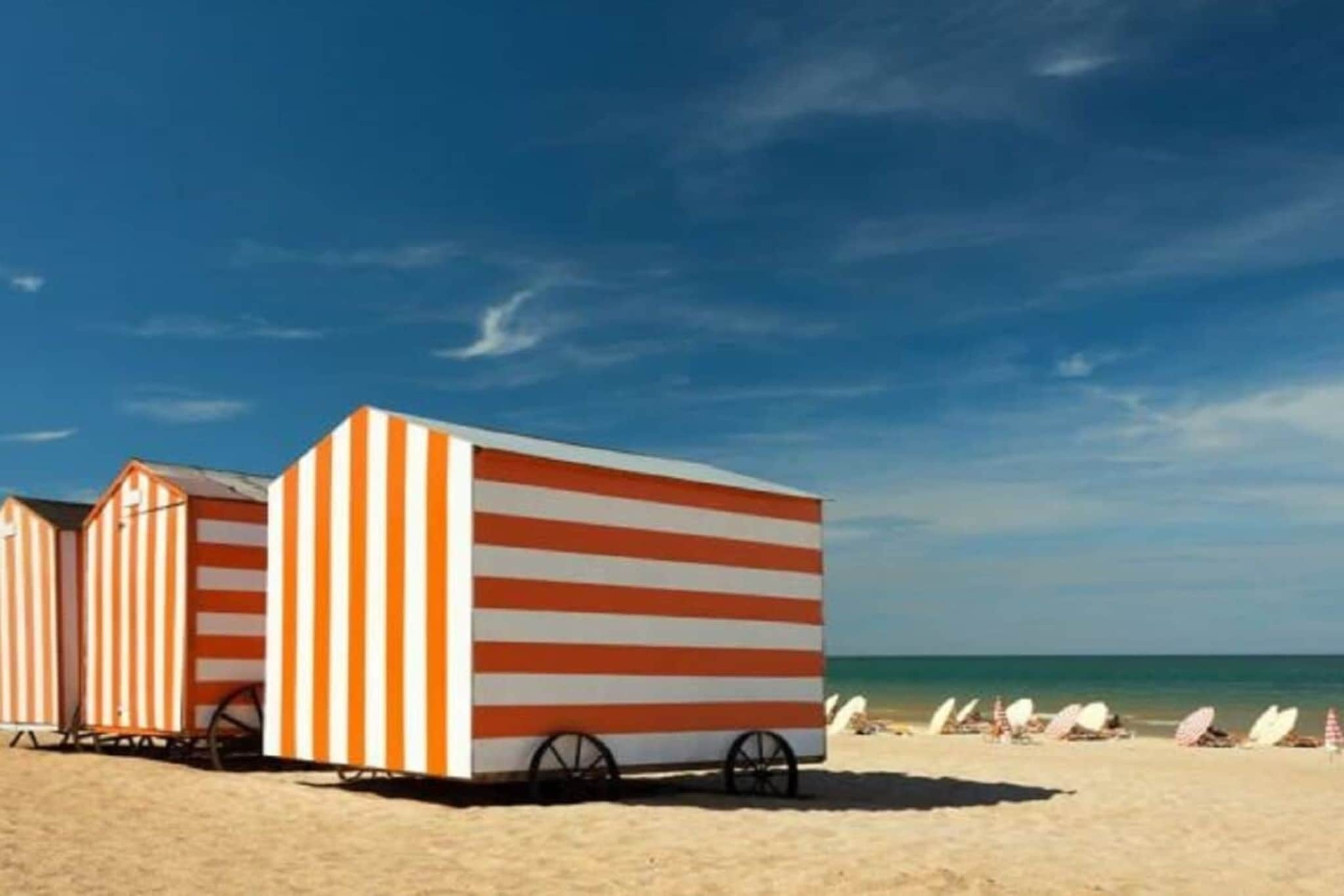 381615-Gebieden zomer 5km