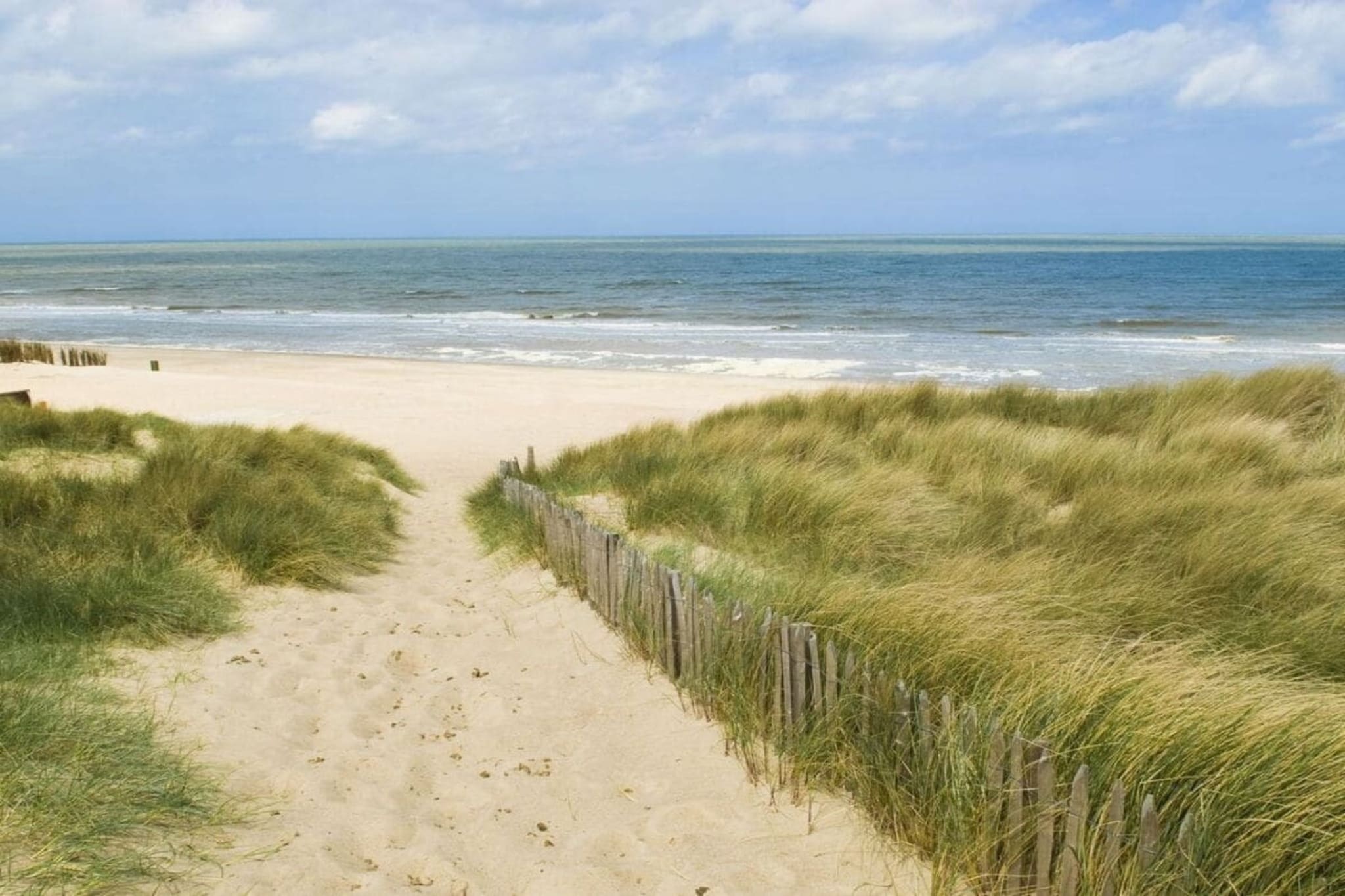 381615-Gebieden zomer 5km