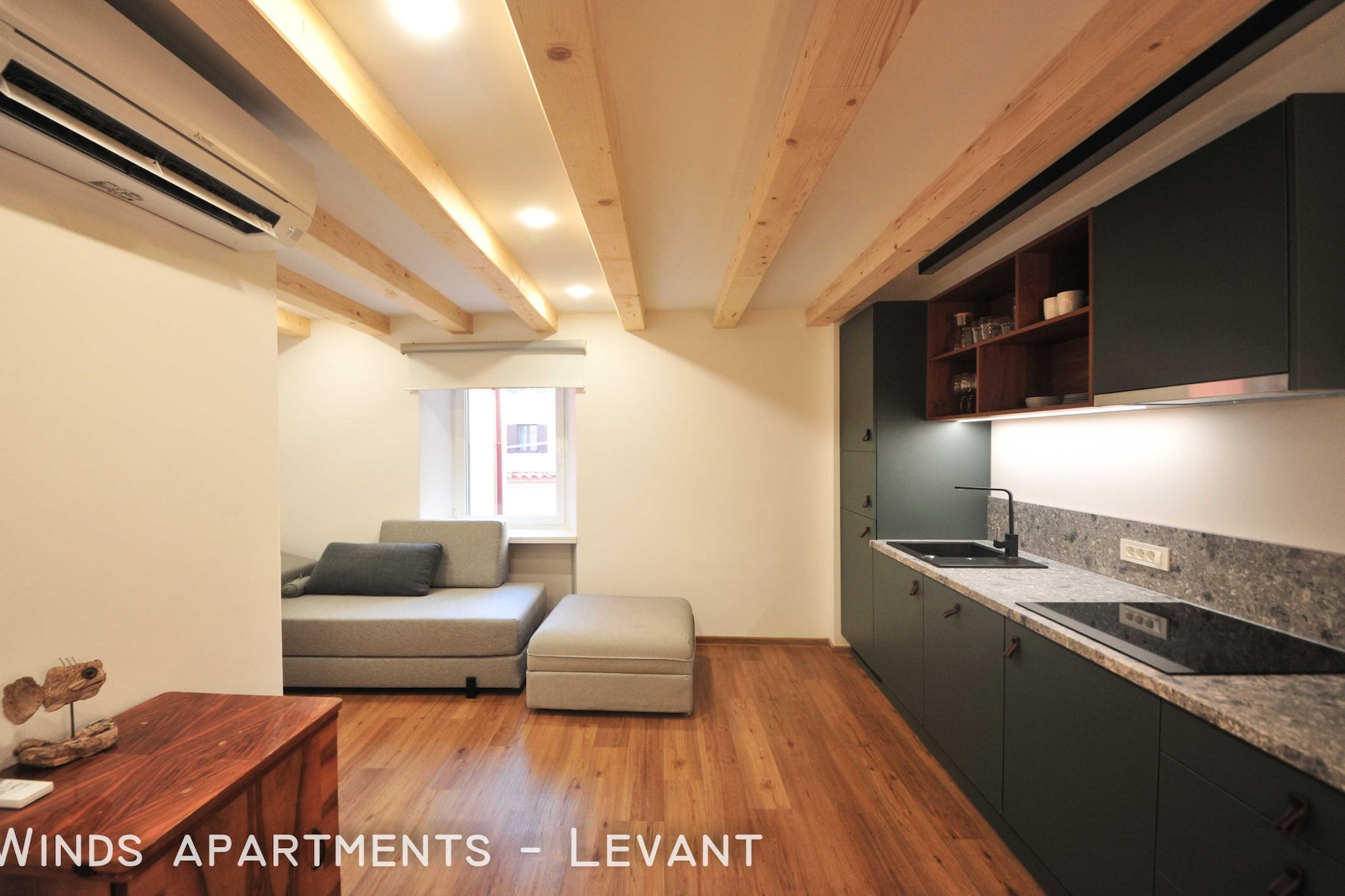 Downtown Izola Modern and Classy Apartments - One Bedroom Apartment with Balcony (owner Levant)