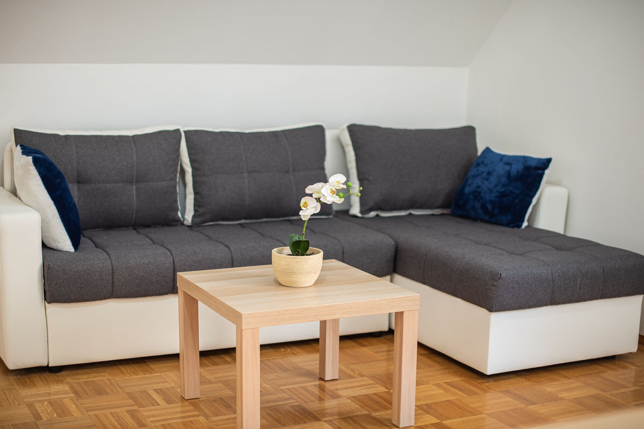 Mountain View Haven Apartments - One Bedroom Apartment