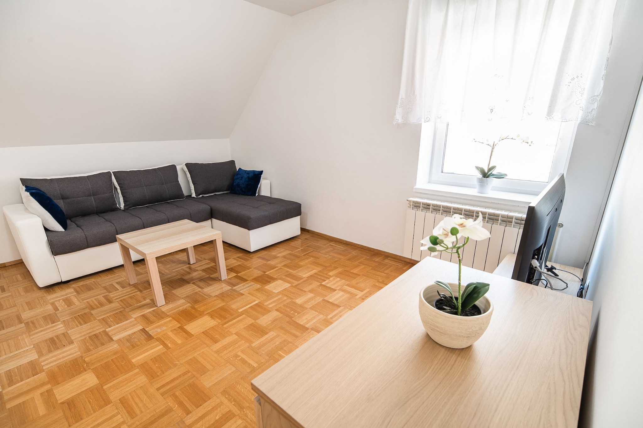 Mountain View Haven Apartments - One Bedroom Apartment-Salon