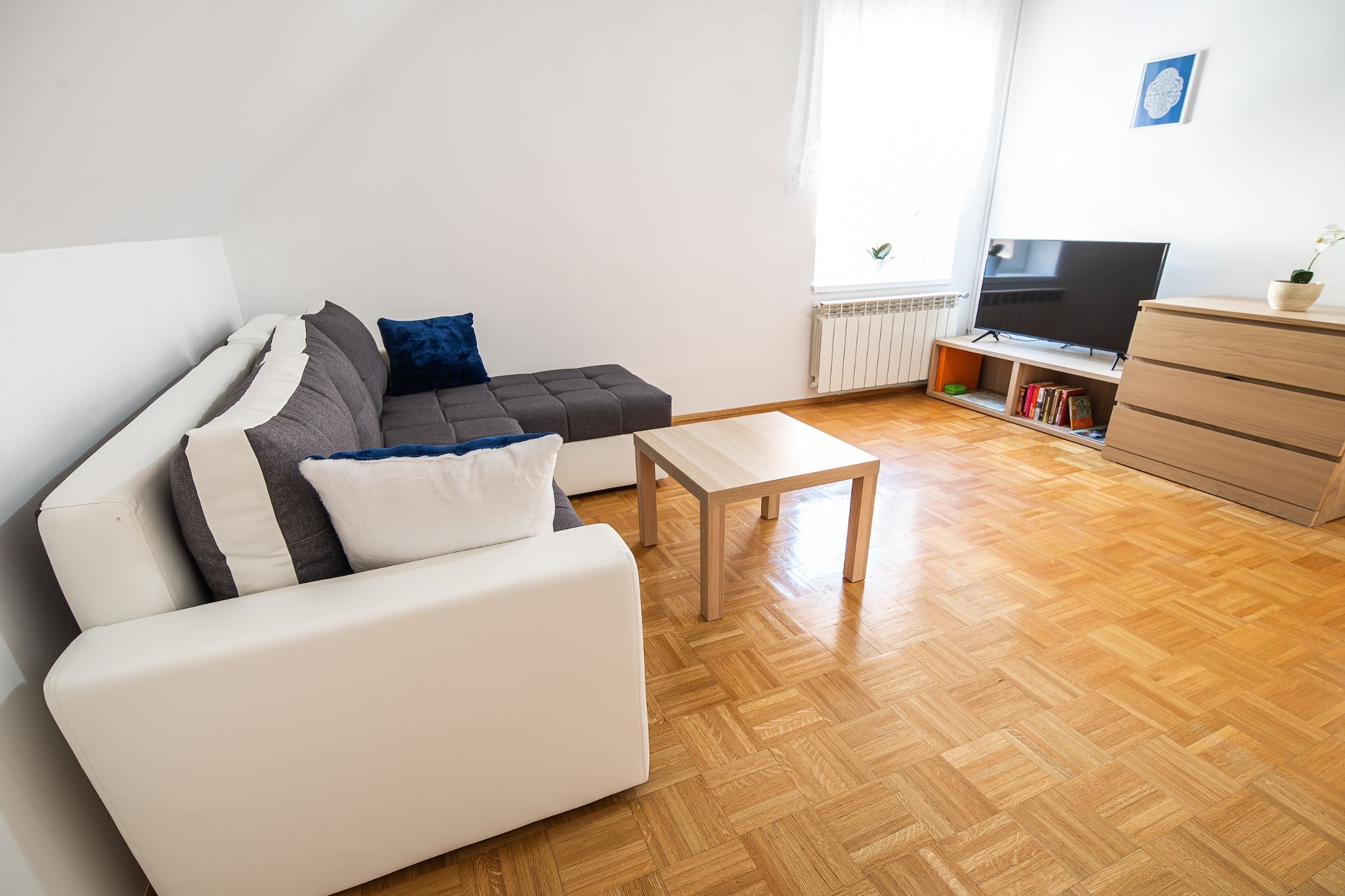 Mountain View Haven Apartments - One Bedroom Apartment-Salon
