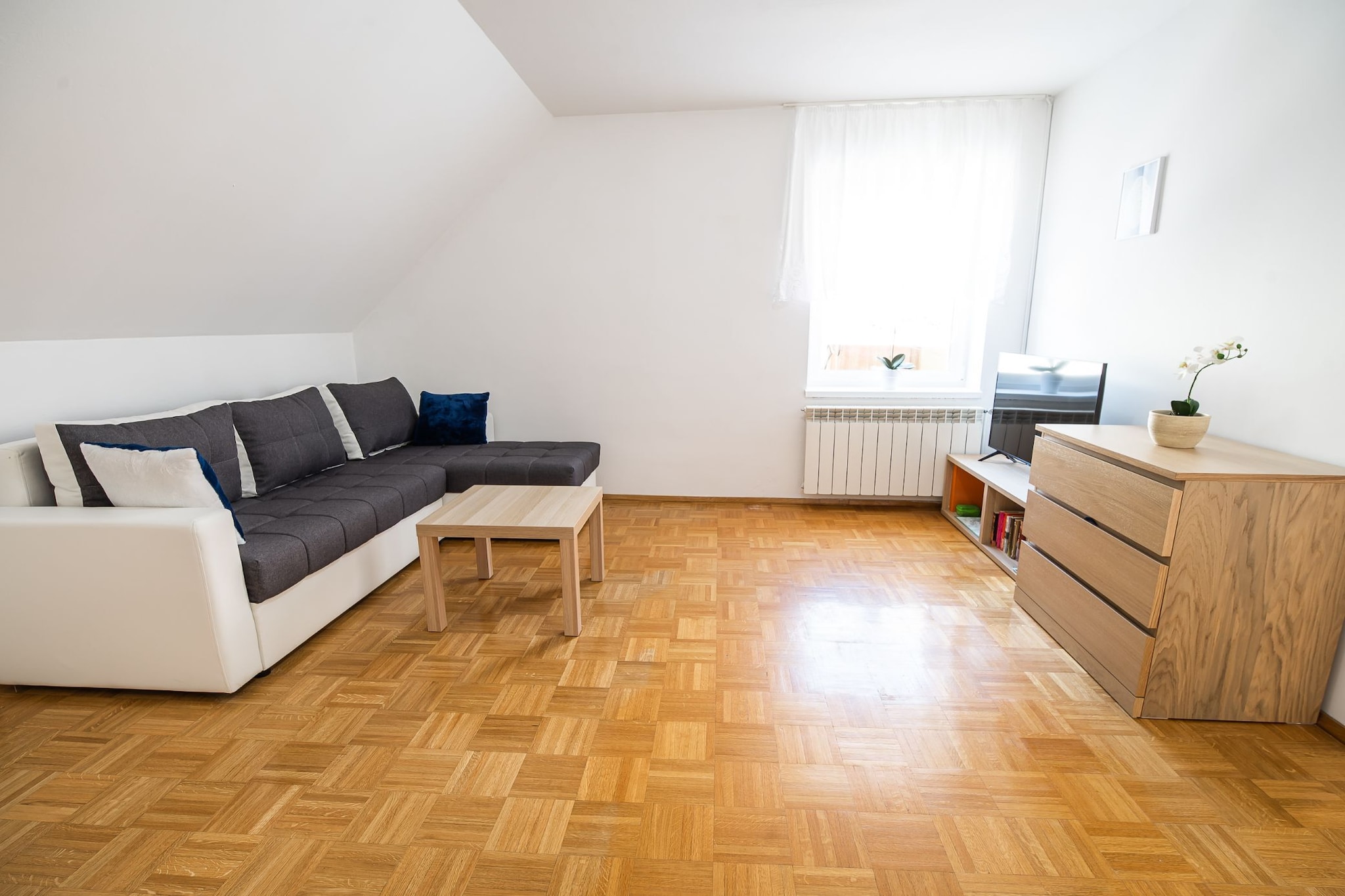 Mountain View Haven Apartments - One Bedroom Apartment