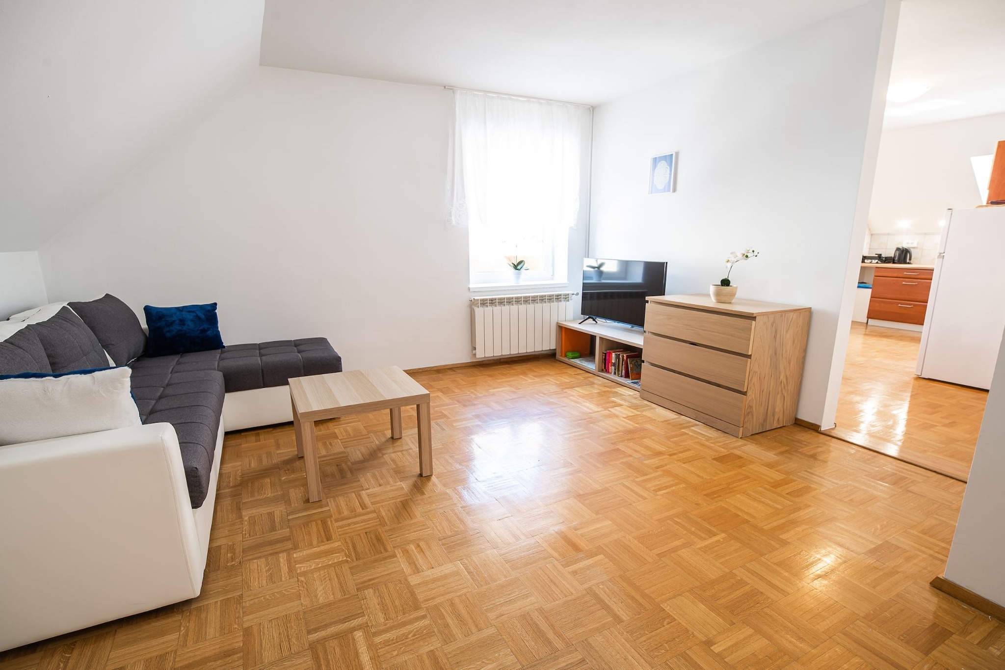 Mountain View Haven Apartments - One Bedroom Apartment